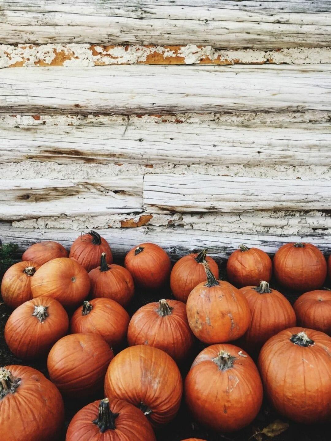 1080x1440 Aesthetic Pumpkin, iPhone, Desktop HD Background / Wallpaper (1080p, 4k) HD Wallpaper (Desktop Background / Android / iPhone) (1080p, 4k) (1080x1440) (2021)