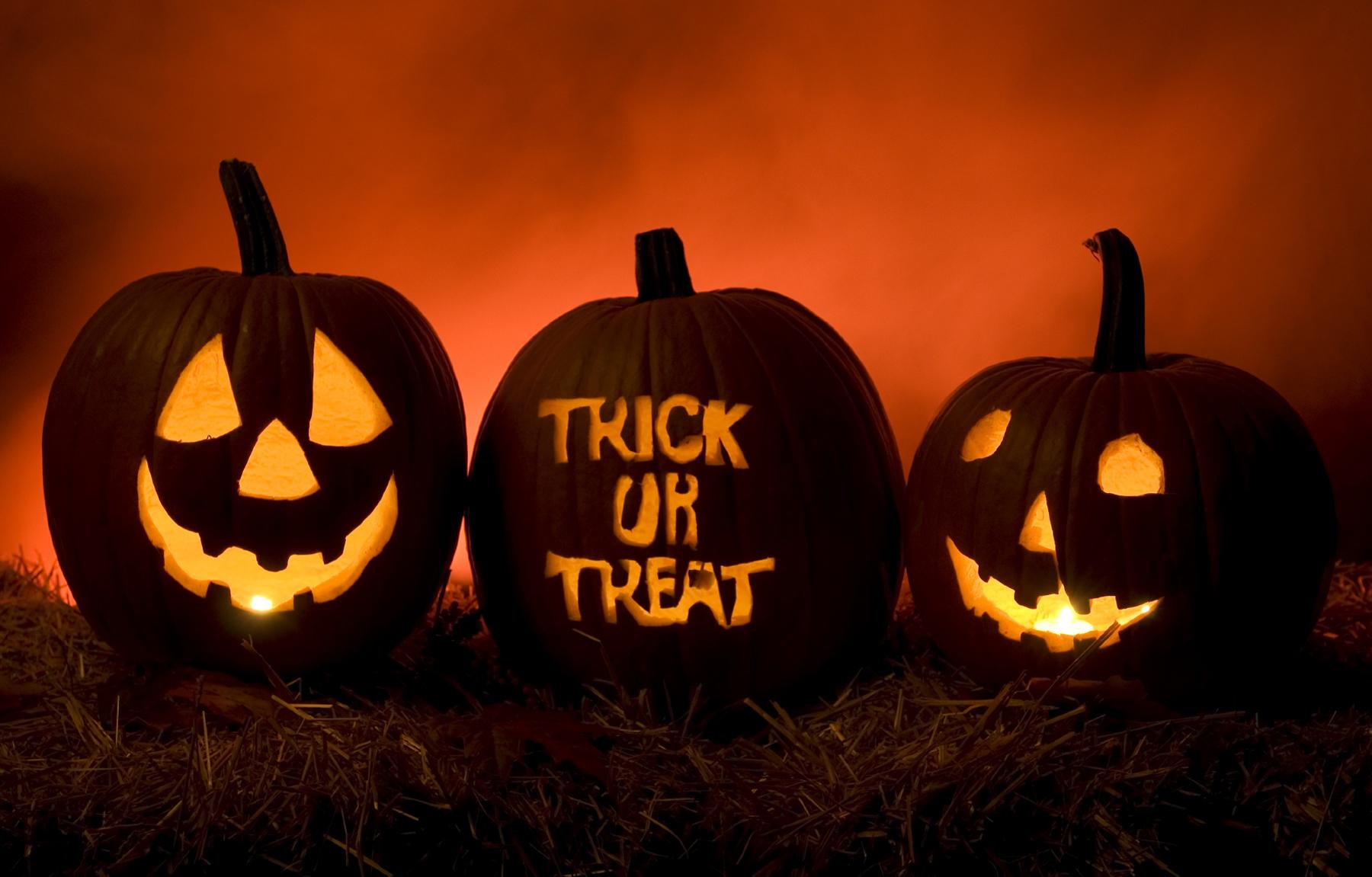 1800x1151 Halloween HD Wallpaper