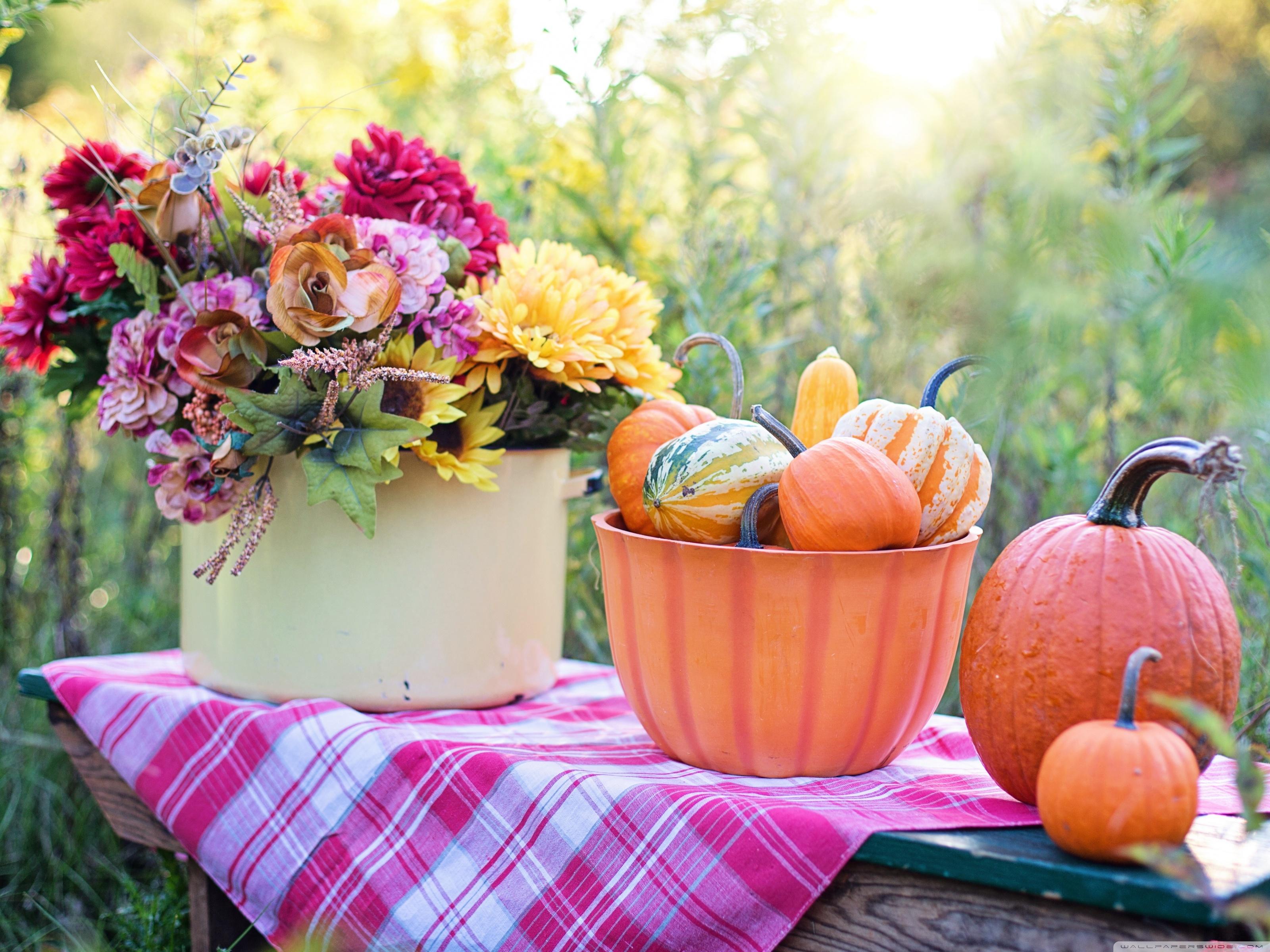 3200x2400 Still Life Pumpkins in Bowl, Flowers, Early Autumn Ultra HD Desktop Background Wallpaper for 4K UHD TV : Widescreen & UltraWide Desktop & Laptop : Tablet