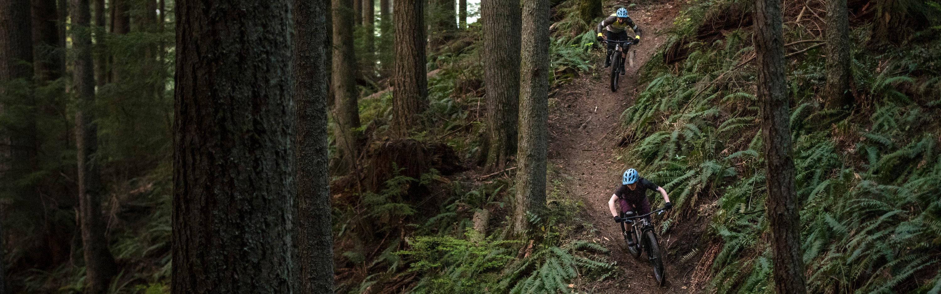 3000x938 Mountain Bikes