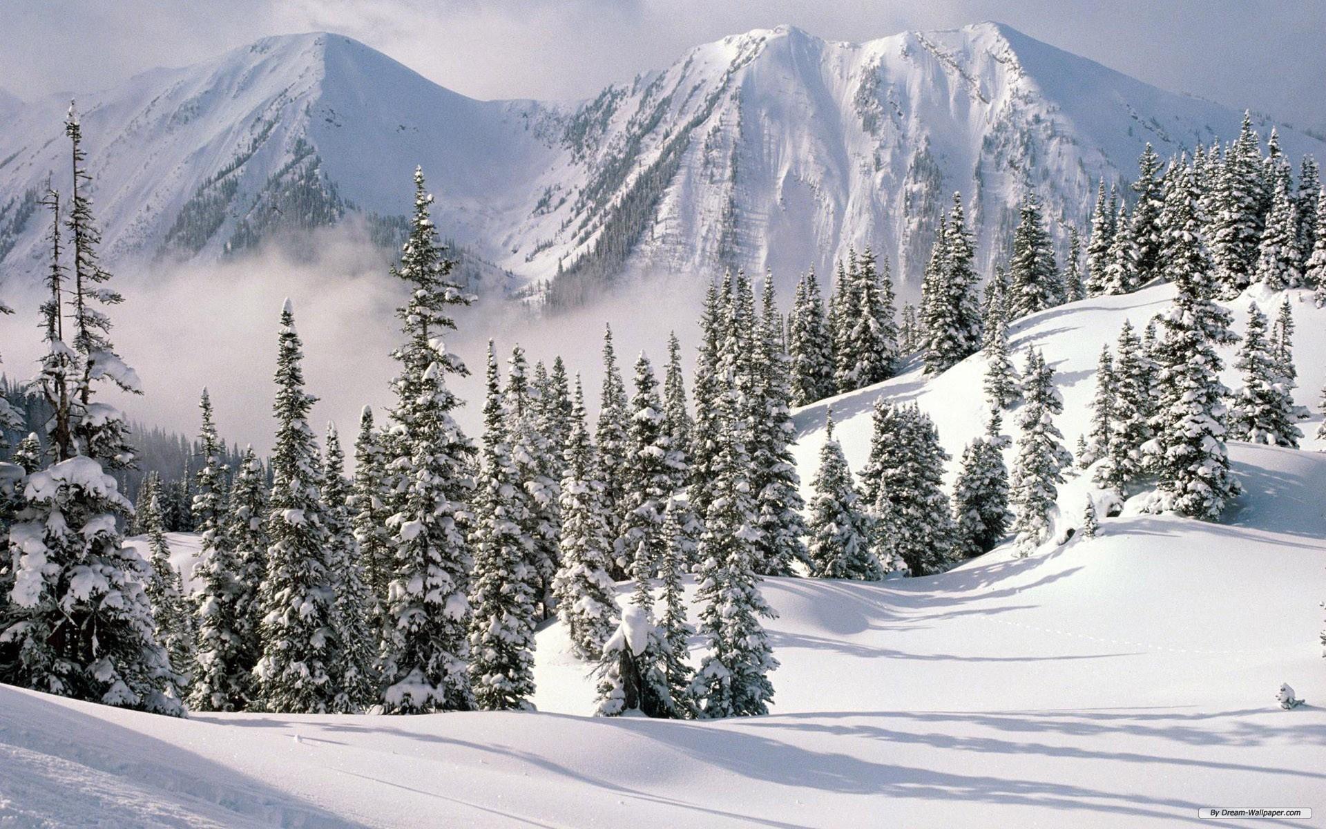 1920x1200 Free download Wallpaper Nature wallpaper Winter Wonderland 10 [1920x1200] for your Desktop, Mobile & Tablet. Explore Winter Free Wallpaper. Free Winter Wallpaper Background, Winter Wallpaper, Free Winter Wallpaper For Computer