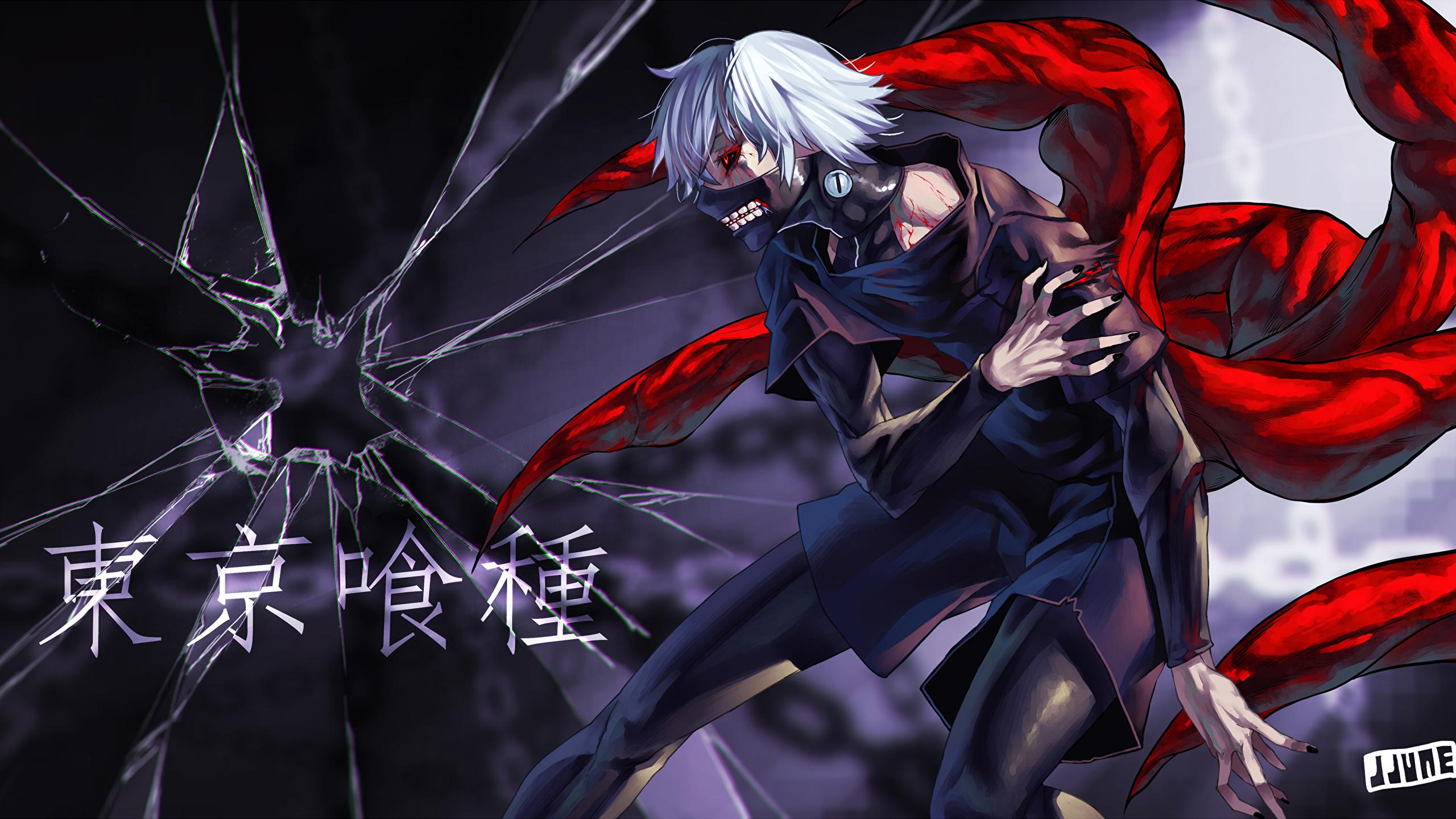 2560x1440 Desktop Wallpaper Tokyo Ghoul Young man jjune, kaneki ken 2560x1440