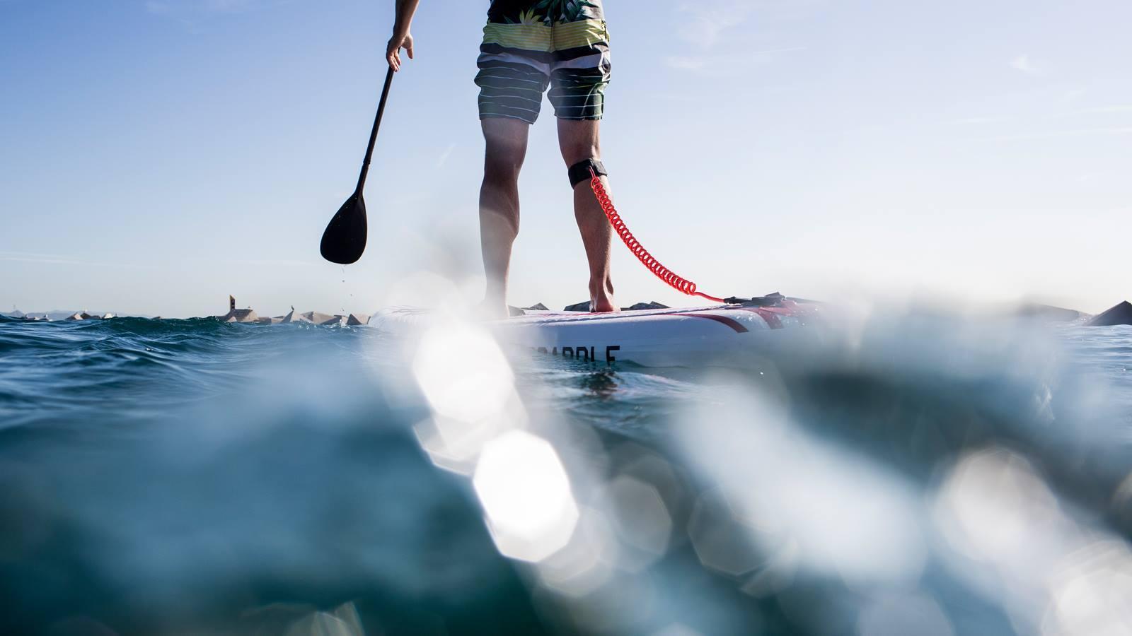 1600x900 SUP Rental in Barcelona from 15 €