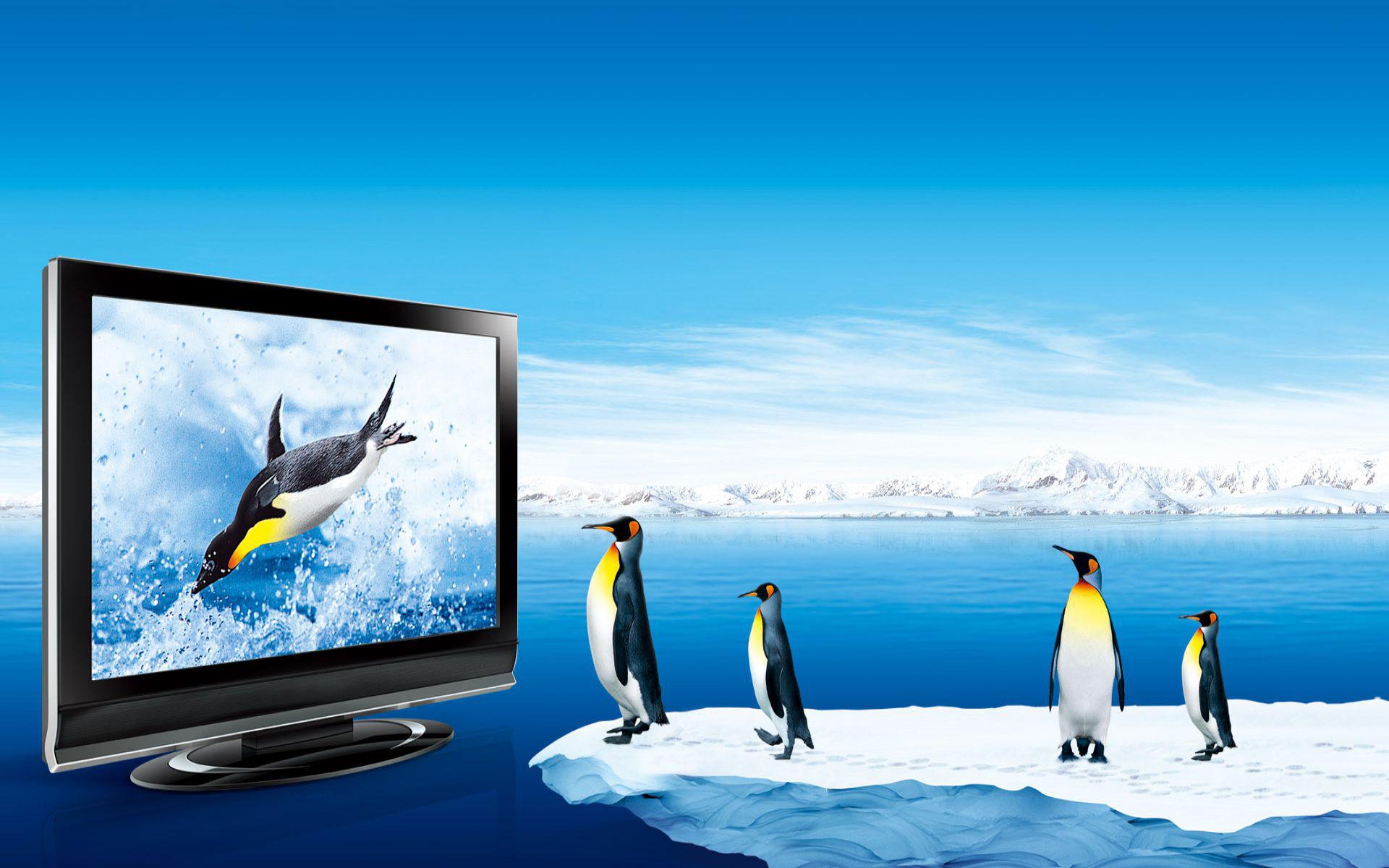 Watching TV Wallpapers - Top Free Watching TV Backgrounds - WallpaperAccess