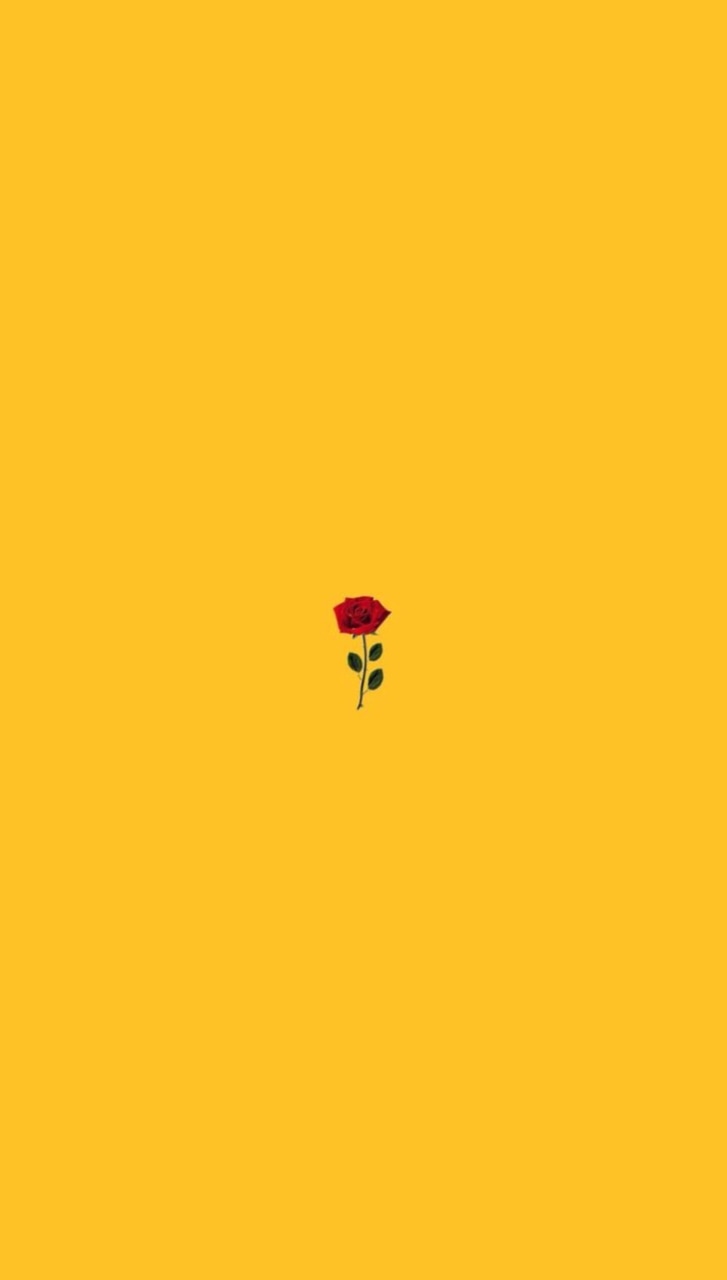 727x1280 rose, red and wallpaper