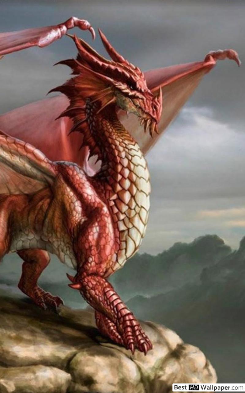 800x1280 Huge red dragon HD wallpaper download