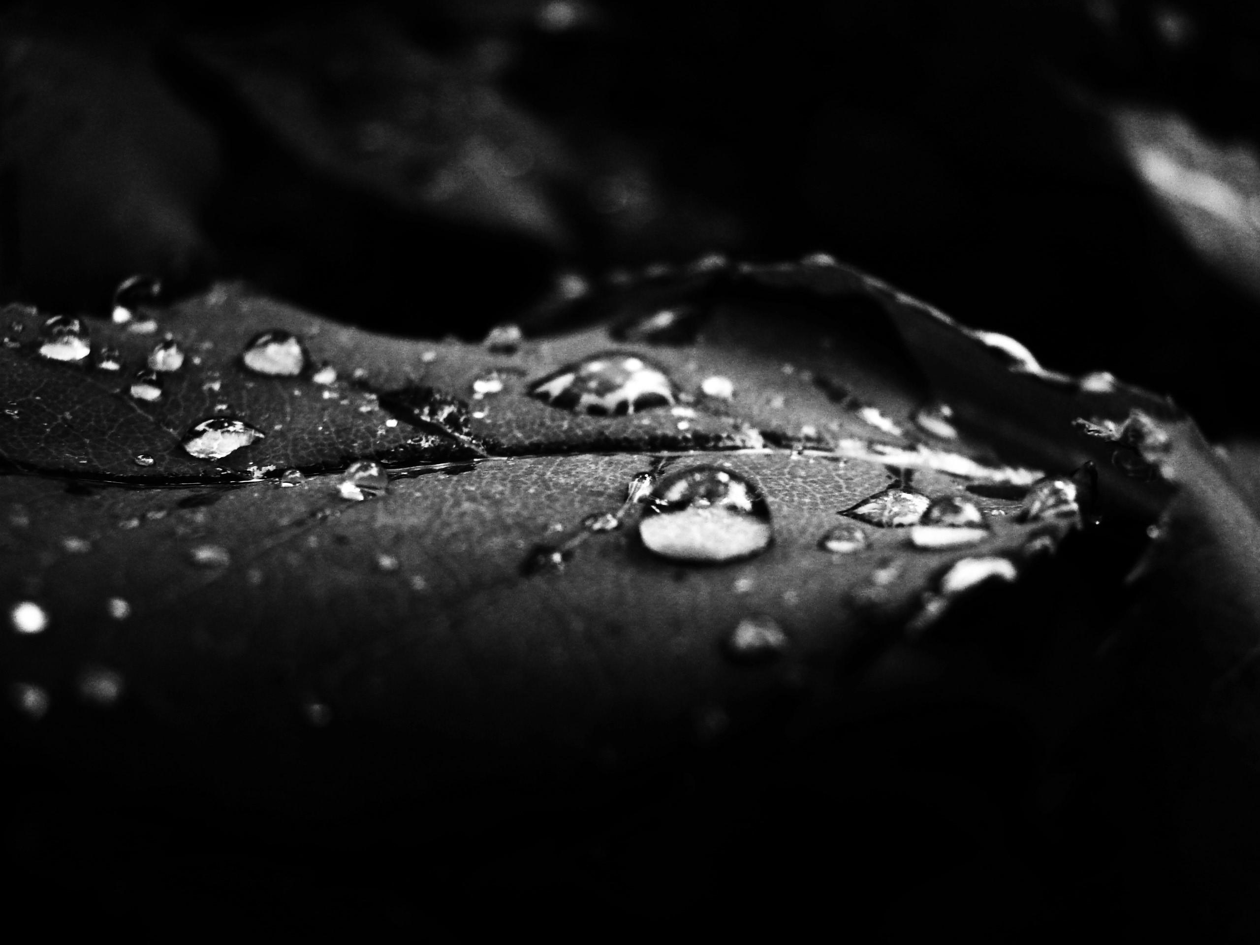2560x1920 Black Diamond Wallpaper HD