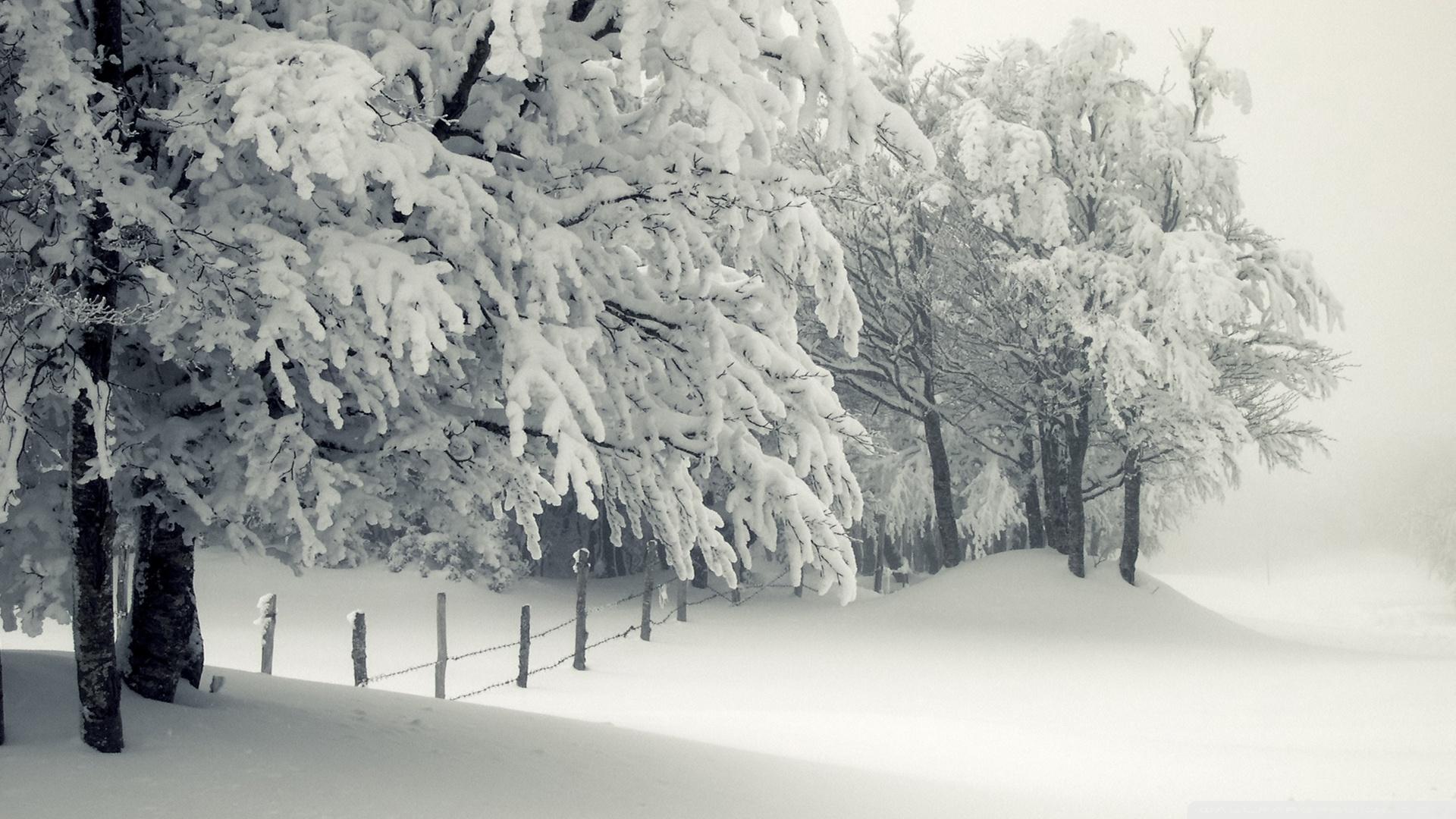 1920x1080 Snowy Landscape Ultra HD Desktop Background Wallpaper for 4K UHD TV : Tablet