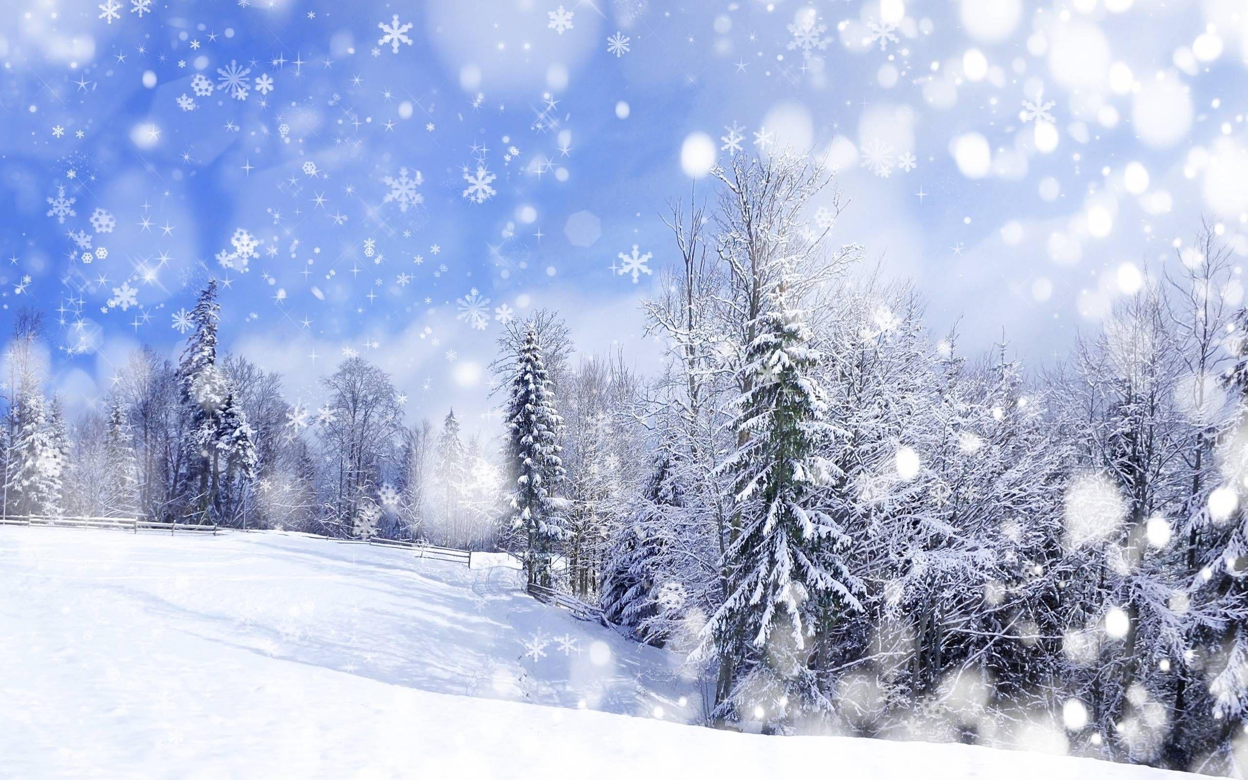2560x1600 Anime Winter Scenery Wallpaper 1 Snow Background