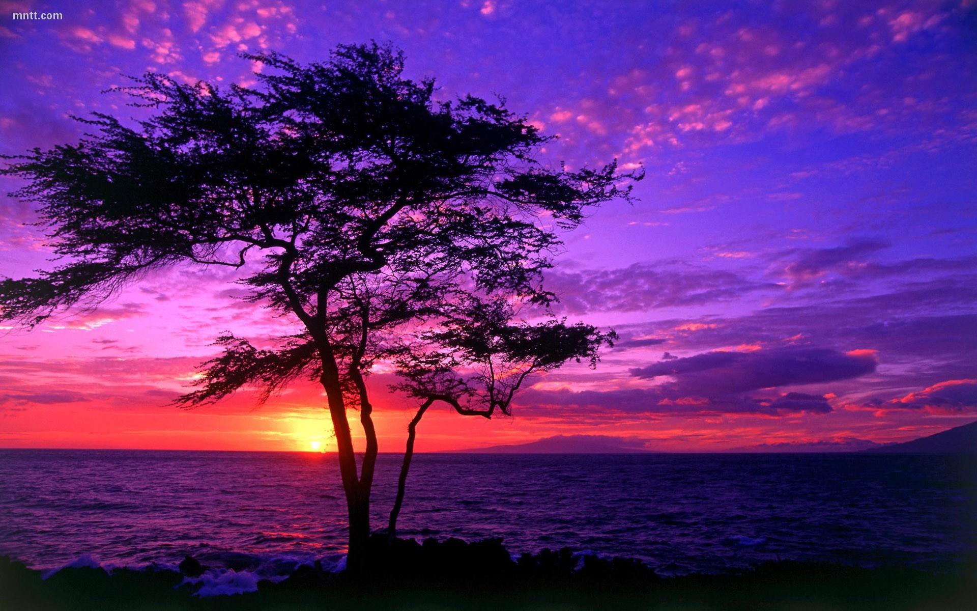 1920x1200 Free download Beautiful Scenery Wallpaper [1920x1200] for your Desktop, Mobile & Tablet. Explore Beautiful Scenery Wallpaper. Beautiful HD Wallpaper for Desktop, Natural Scenery Wallpaper, Spring Scenery Wallpaper
