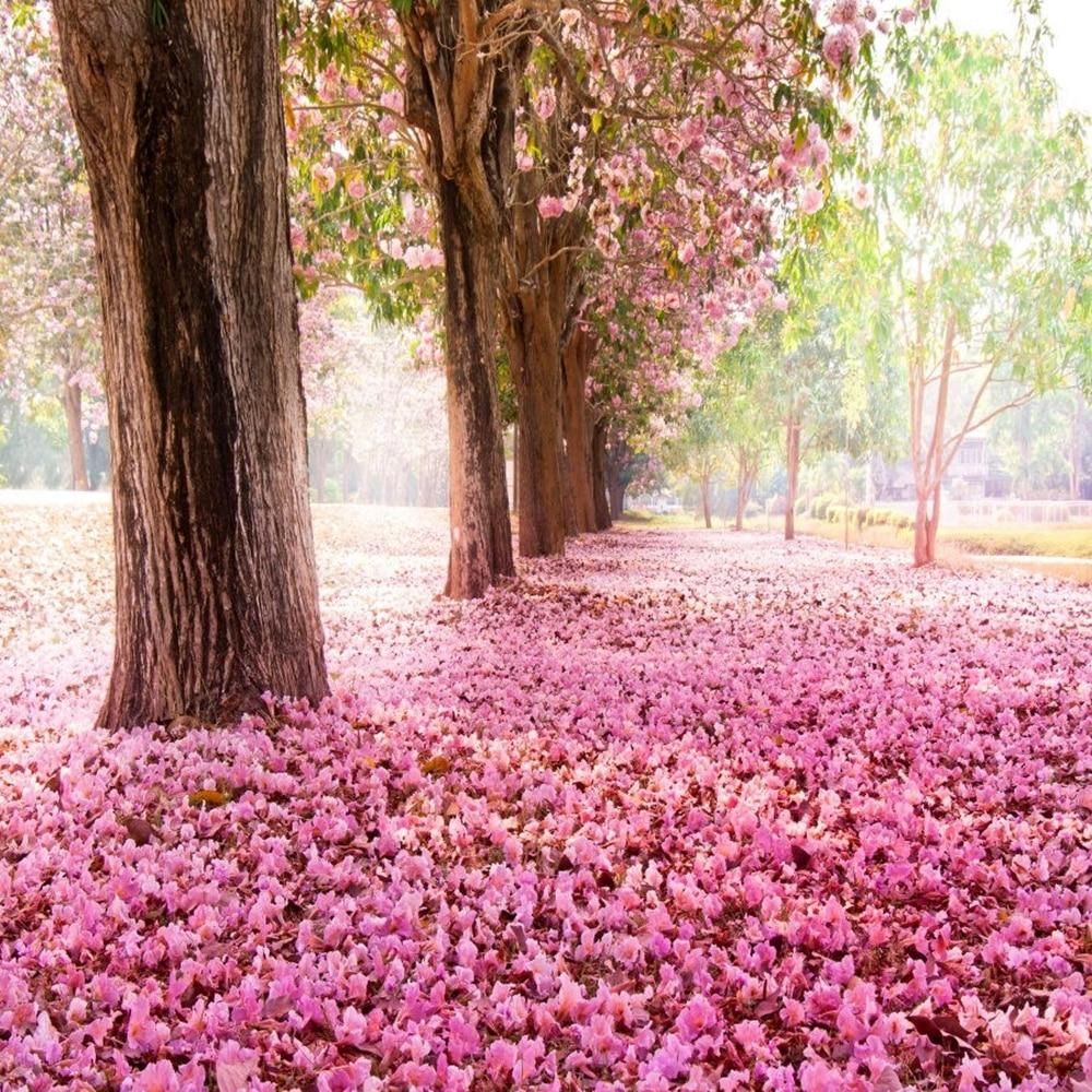 1000x1000 Laeacco Pink Fallen Flowers Trees Romantic Scenery Photography Background Vinyl Personalized Camera Backdrops For Photo Studio. photo backdrops. backdrops for photophotography background
