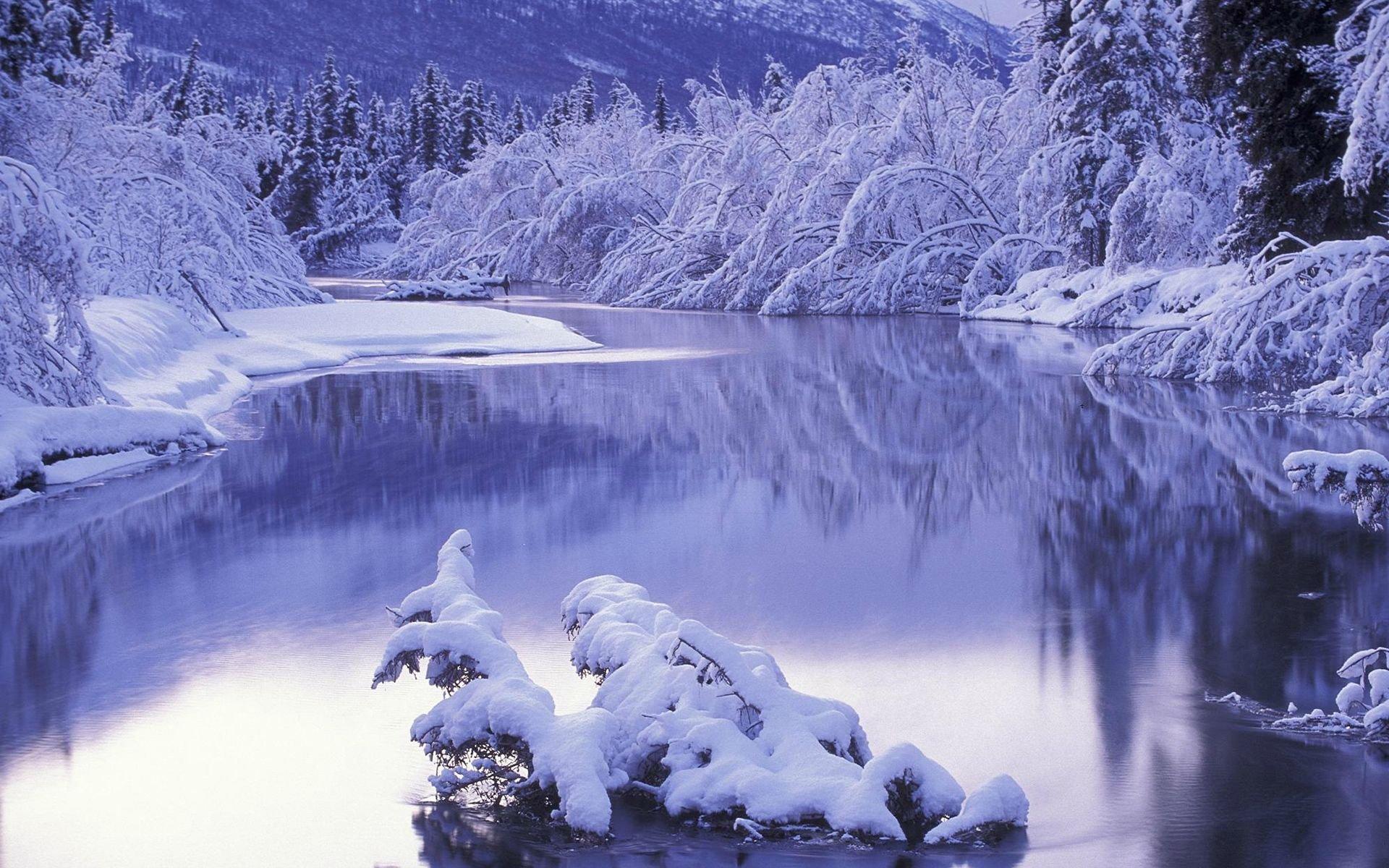 1920x1200 Snow White Winter Nature Scenery 20100 HD wallpaper