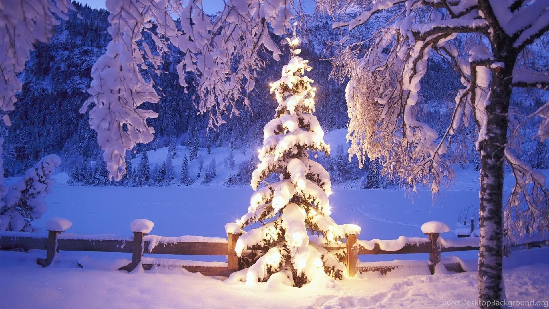 1920x1080 Beautiful Winter Scene HD Wallpaper