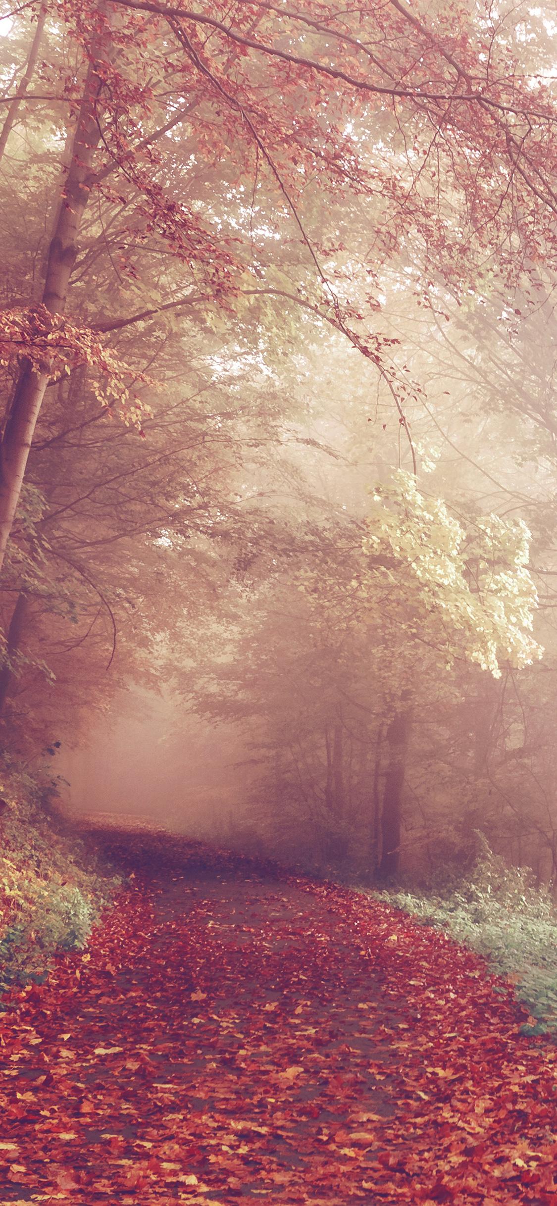 1125x2436 fall mountain road romantic red nature