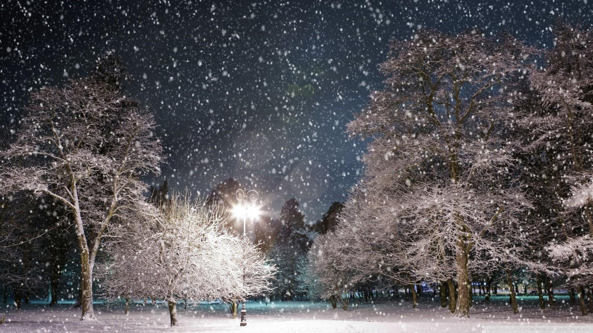 1920x1080 Snow Scenes