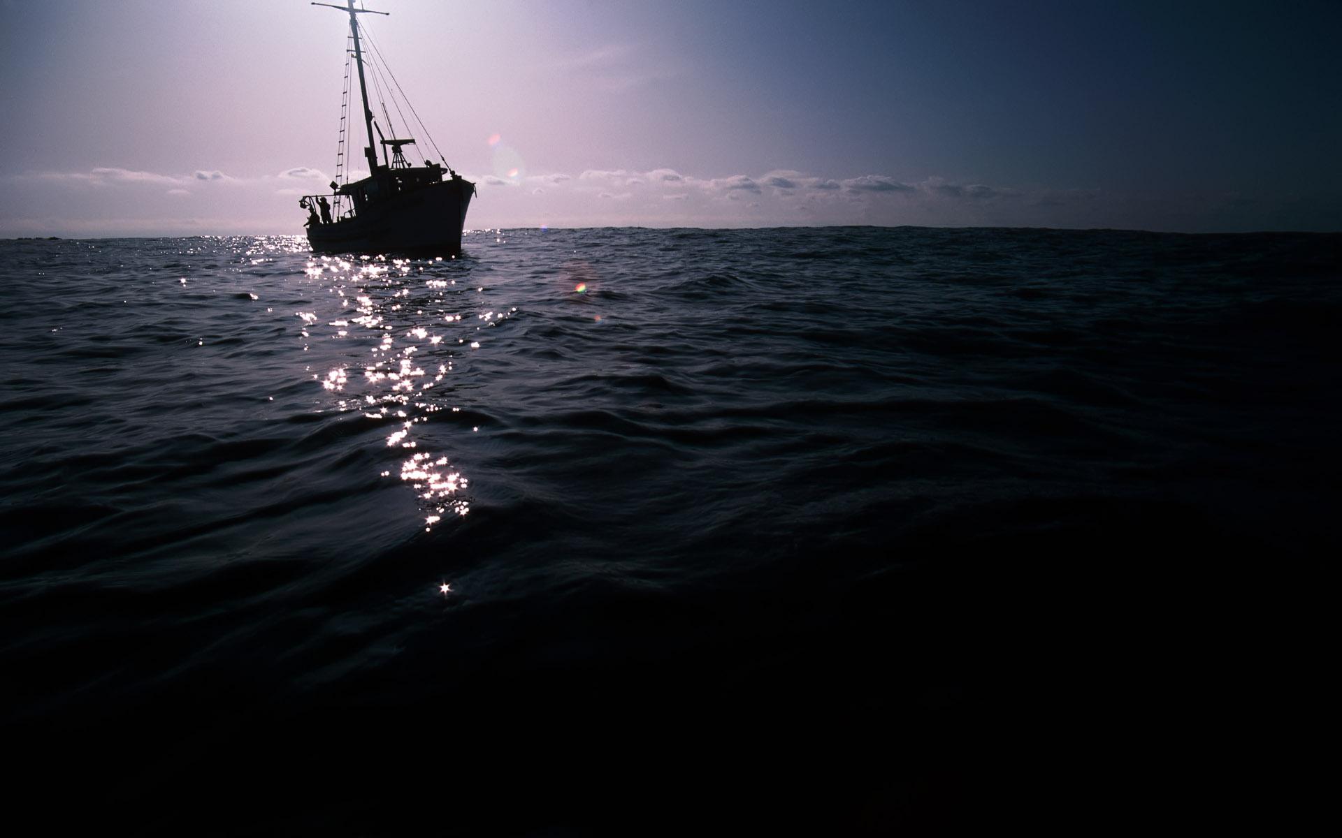 1920x1200 Free download Deep blue sea wallpaper and image wallpaper picture photo [1920x1200] for your Desktop, Mobile & Tablet. Explore Deep Blue Wallpaper. Blue Space Wallpaper, Blue Android Wallpaper, Blue Sea Wallpaper