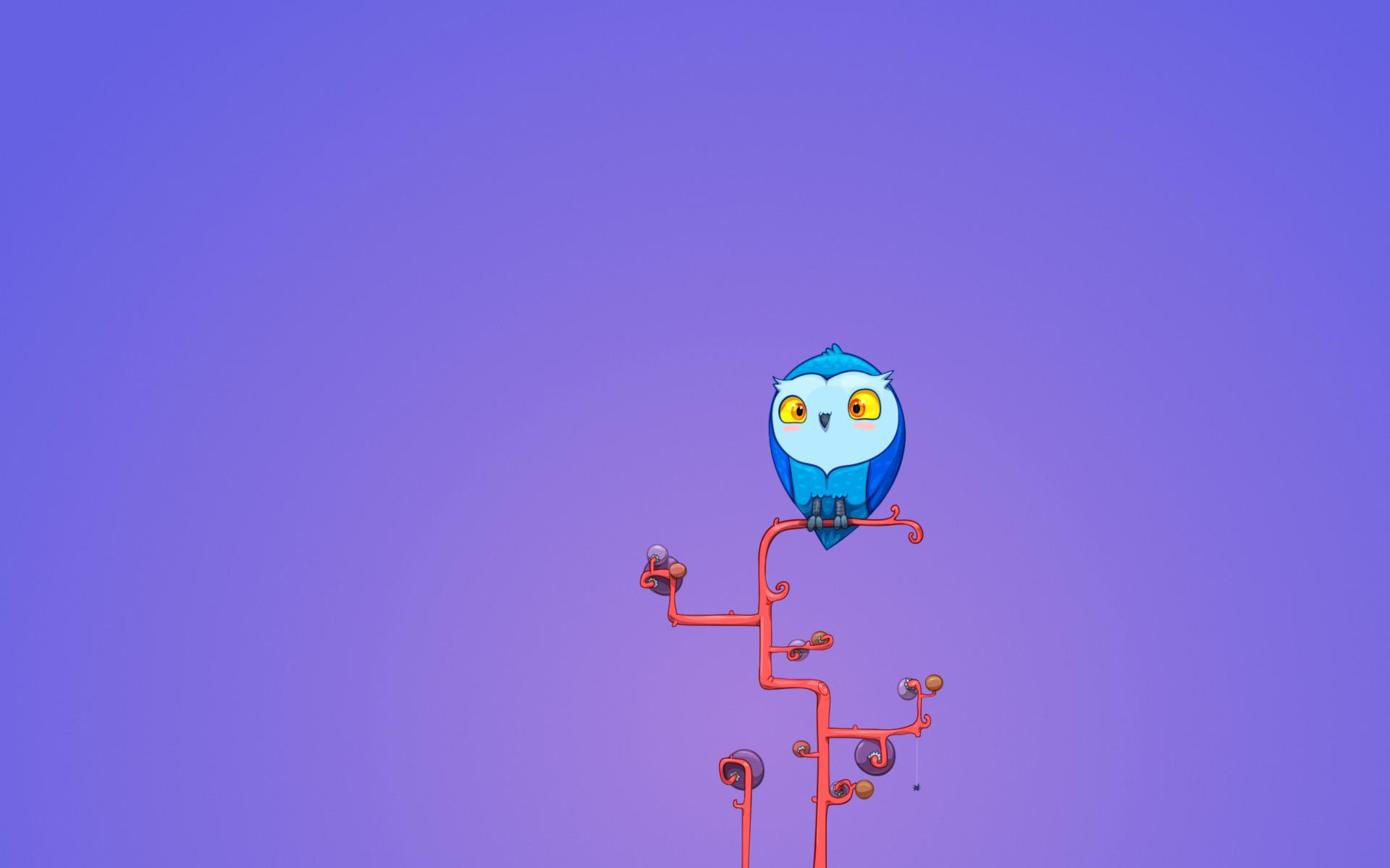 1920x1200 Cute Blue Owl Wallpaper for Widescreen Desktop PC 1920x1080 Full HD