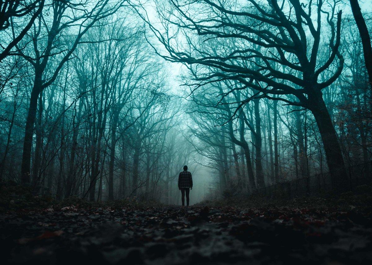 1200x857 HD Wallpaper By: Mat Reding #DownloadTheApp #man #person #trees #forest #silhouette #scary # nature #blue #photooftheday #beautiful #wonderful #amazing #awesome #HDWallpaper #wallpaper #Download