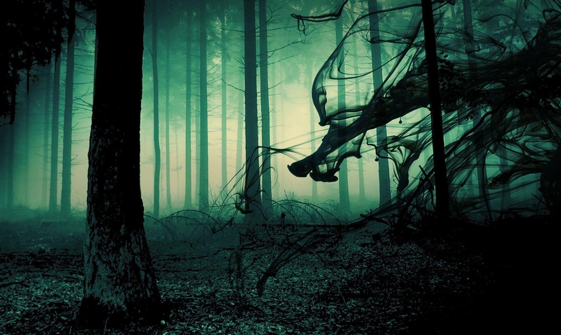 1795x1073 Creepy Forest Wallpaper