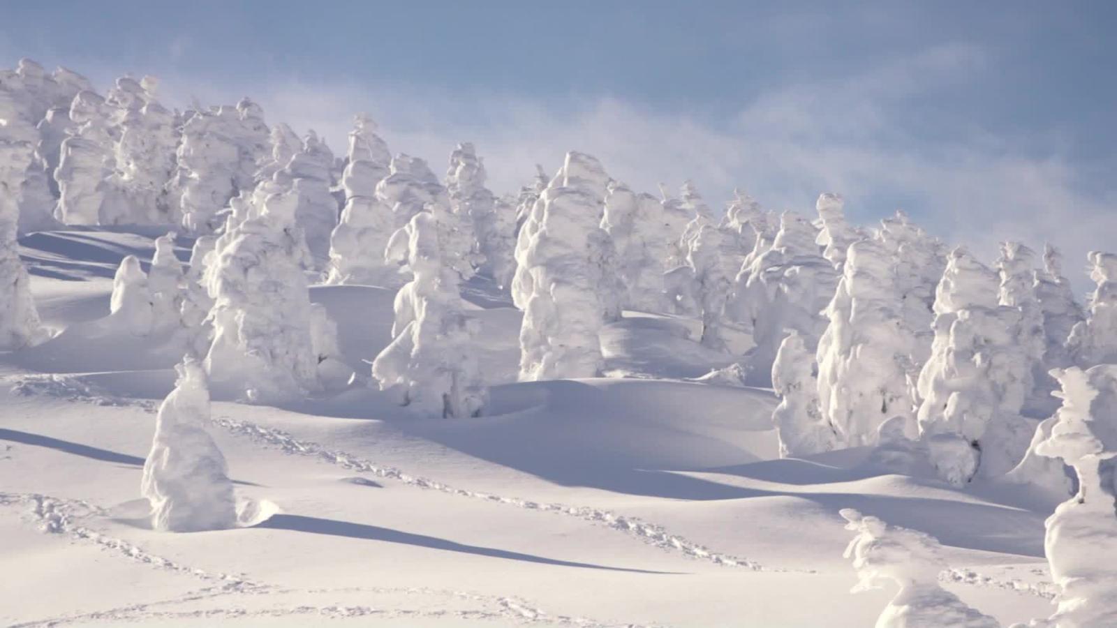 1600x900 Zao Onsen: Home to Japan's amazing 'snow monsters'