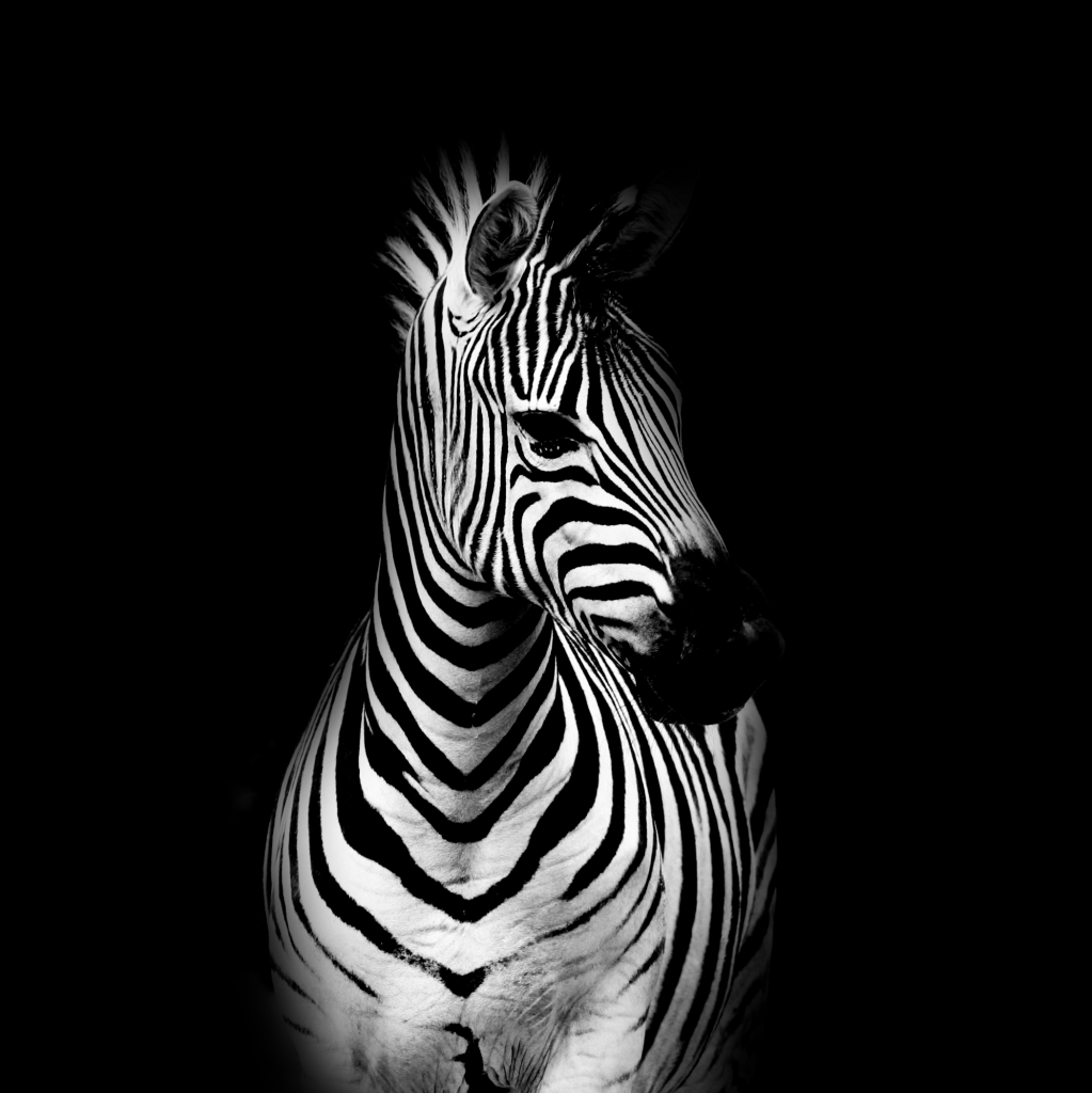1023x1024 QHD OLED Wallpaper Perfect For The High Contrast Display On The Apple IPhone X