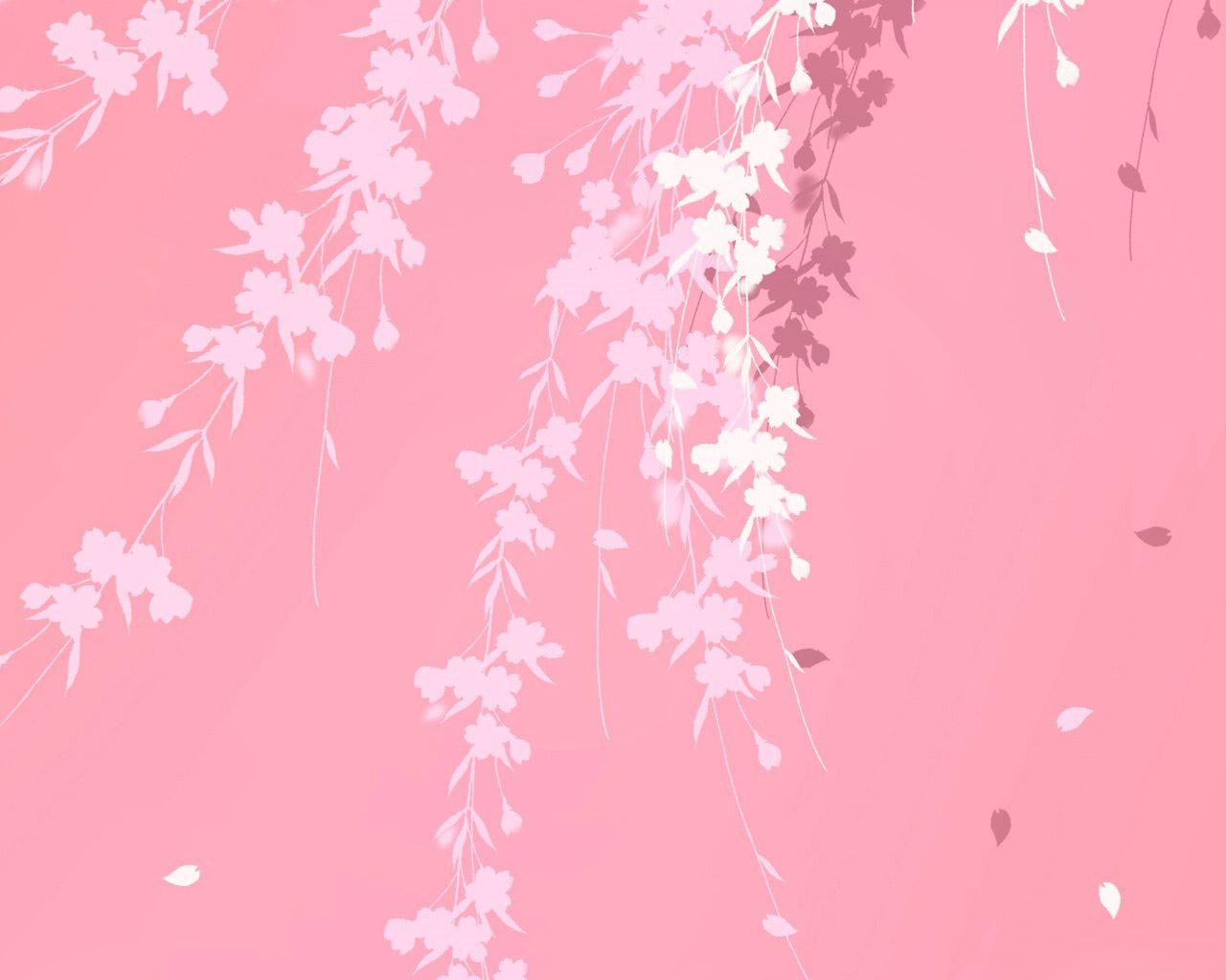 1280x1024 Pink Background Wallpaper