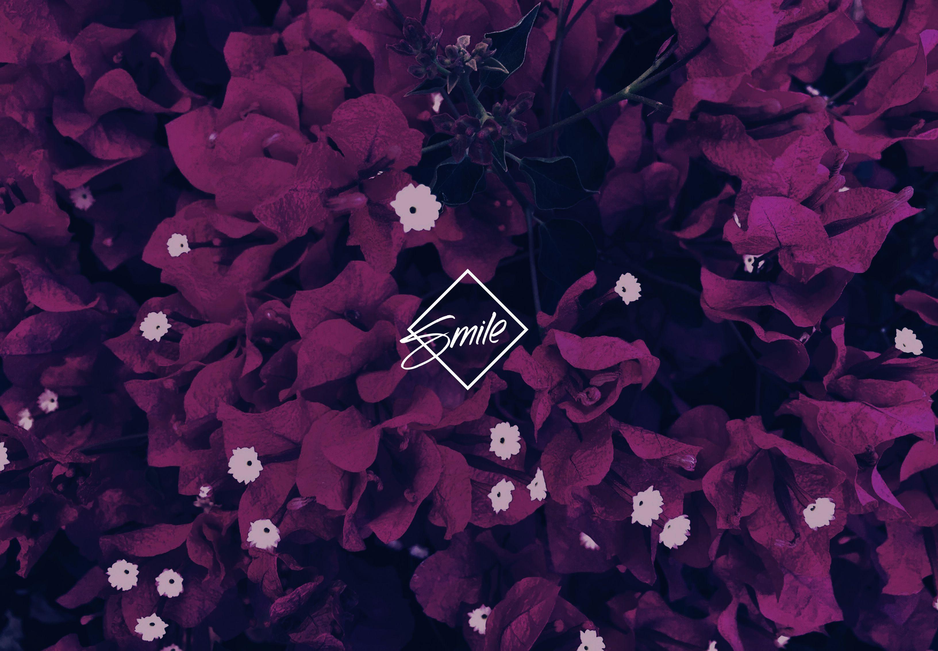 3264x2265 Aesthetic Violet Desktop Wallpaper