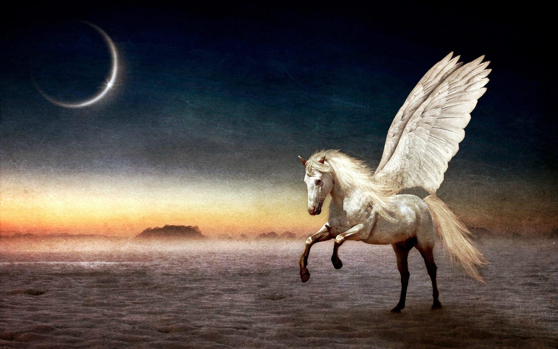 1920x1200 Pegasus Flying Horse Wallpaper For Desktop, PC & Mobile. Horse wallpaper, Pegasus wallpaper, Mythology wallpaper