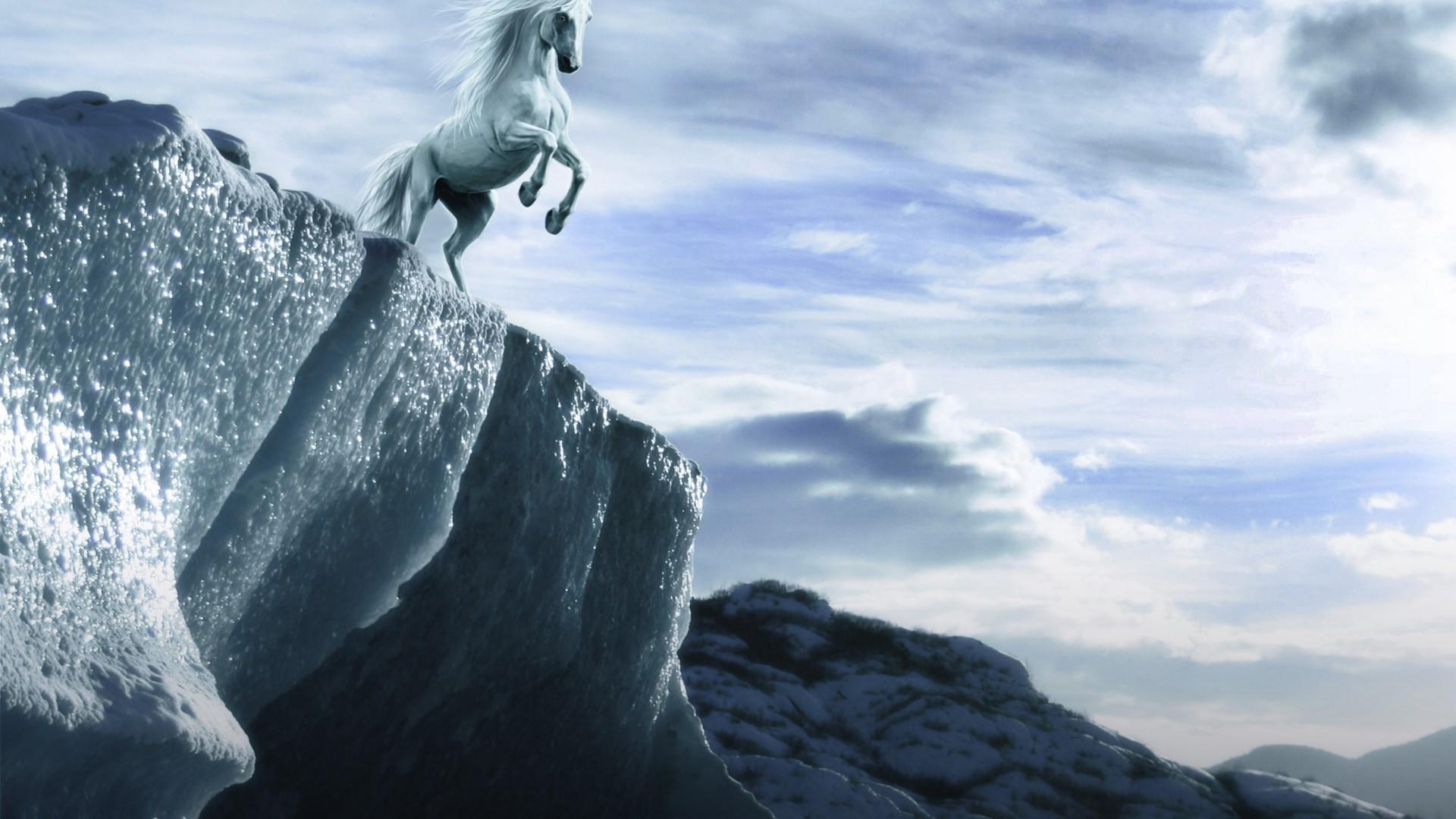 1920x1080 White horse