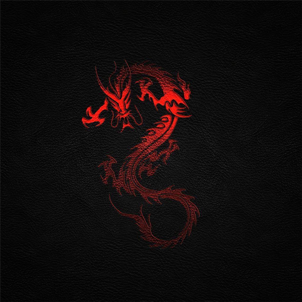1024x1024 dragon leather background 4k iPad Air Wallpaper Free Download
