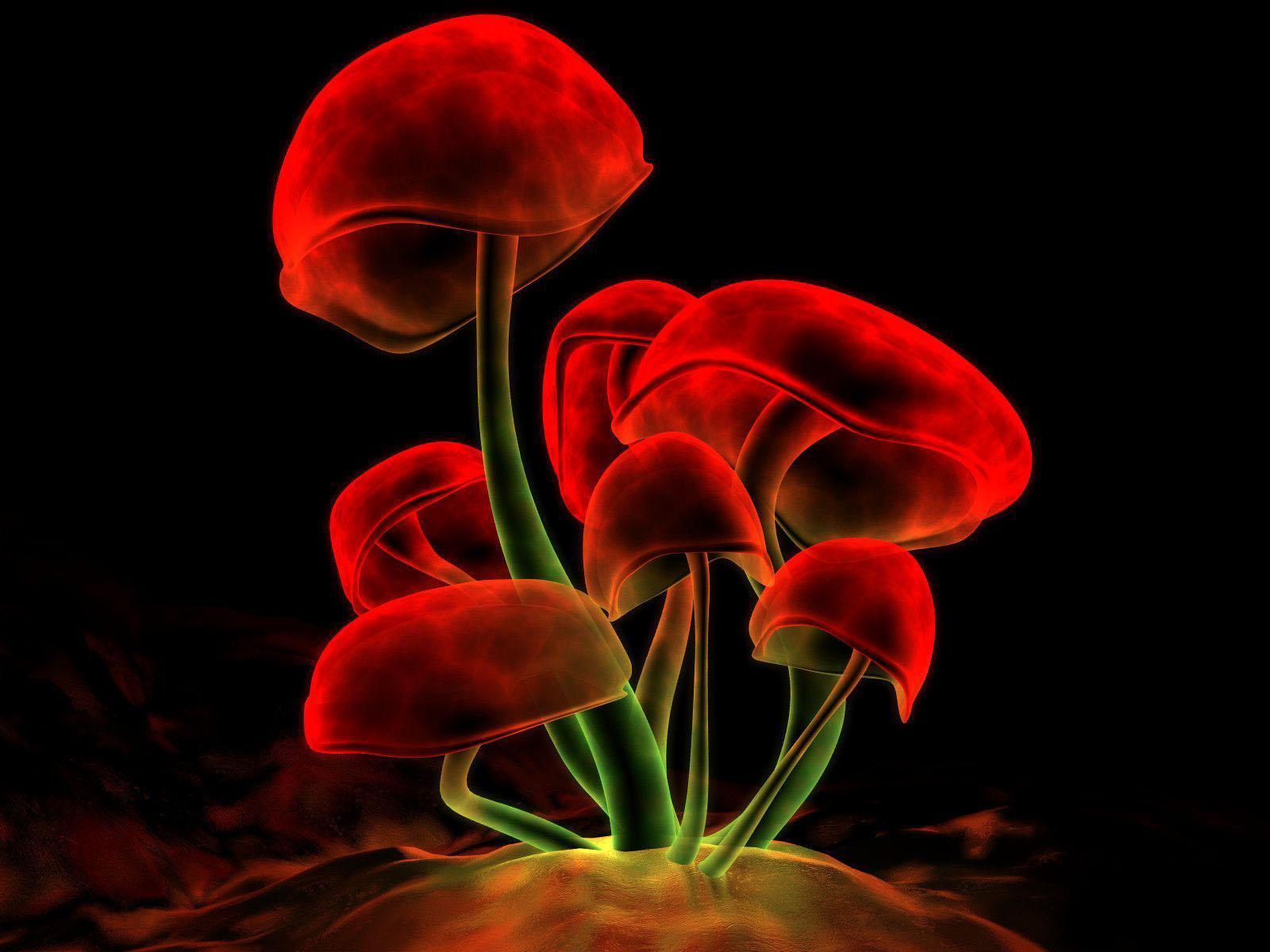 1600x1200 Free download wallpaper Digital Blasphemy Wallpaper [1600x1200] for your Desktop, Mobile & Tablet. Explore Free Digital Blasphemy Wallpaper. Awesome Moving 3D Wallpaper, Awesome 3D Wallpaper, Digital Blasphemy Wallpaper 1680X1050