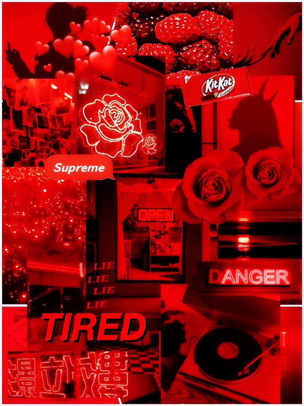 1024x1365 Red Aesthetic Neon Wallpaper