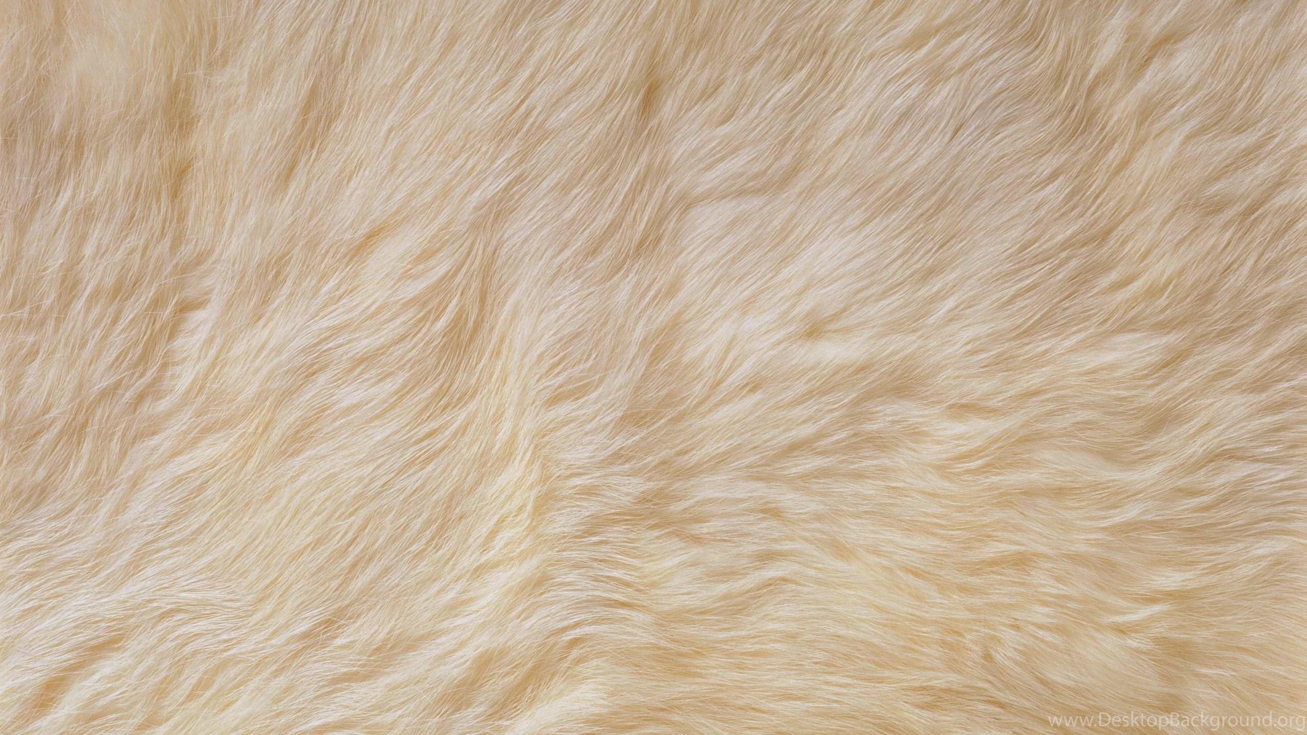 2560x1440 Download Wallpaper 2560x1440 Fur, Bright, Pet, Rug Mac iMac 27 HD. Desktop Background