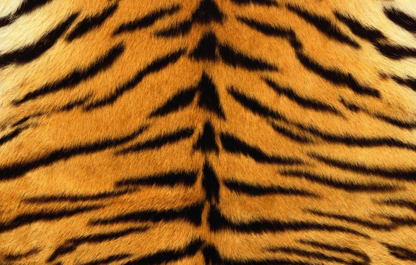 1332x850 Animal Fur Wallpaper
