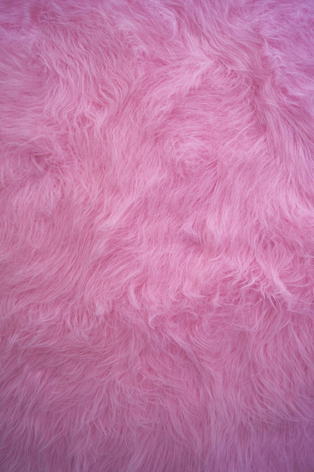 1000x1502 Fur Picture. Download Free Image