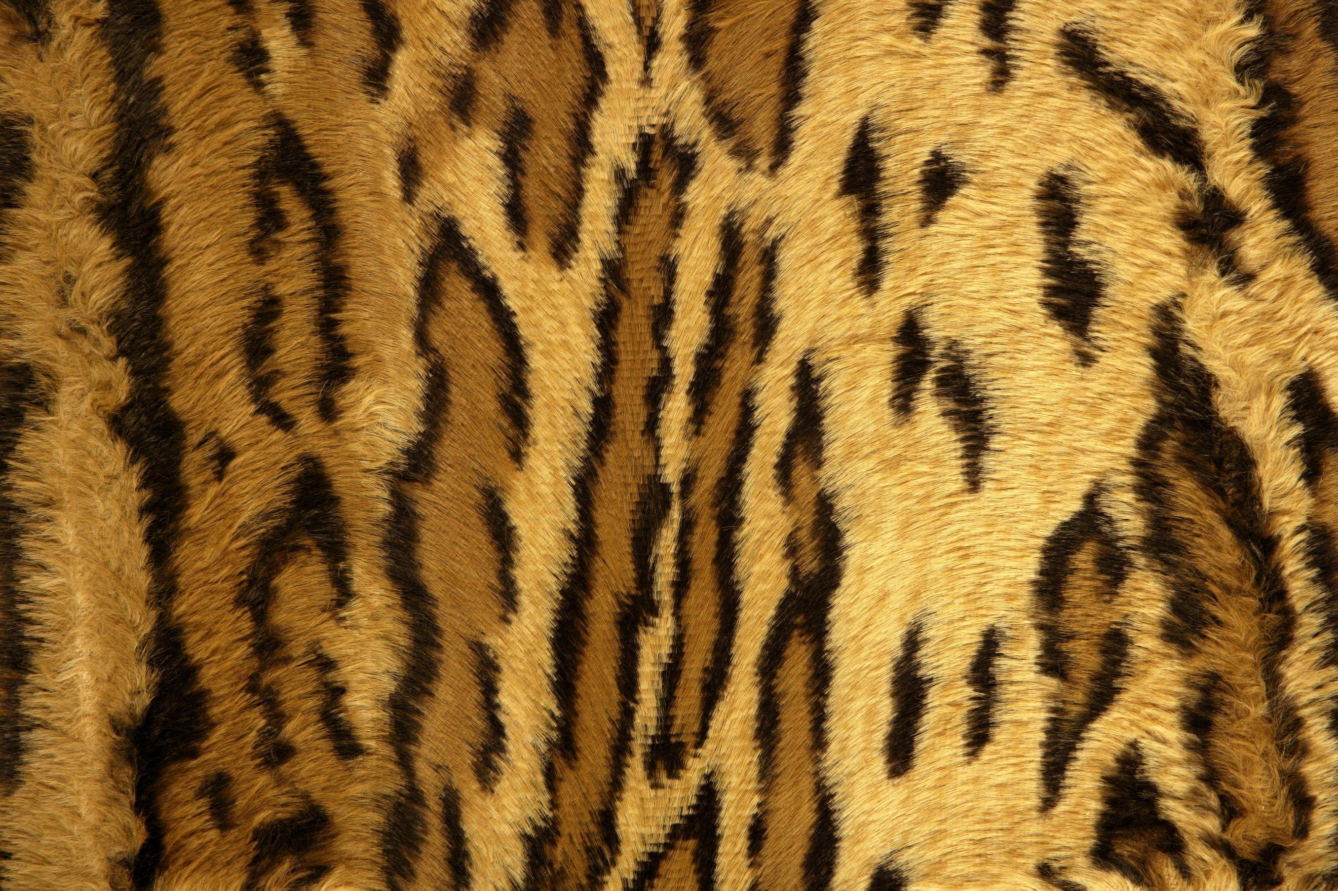 2711x1807 Animal Skin Wall Paper