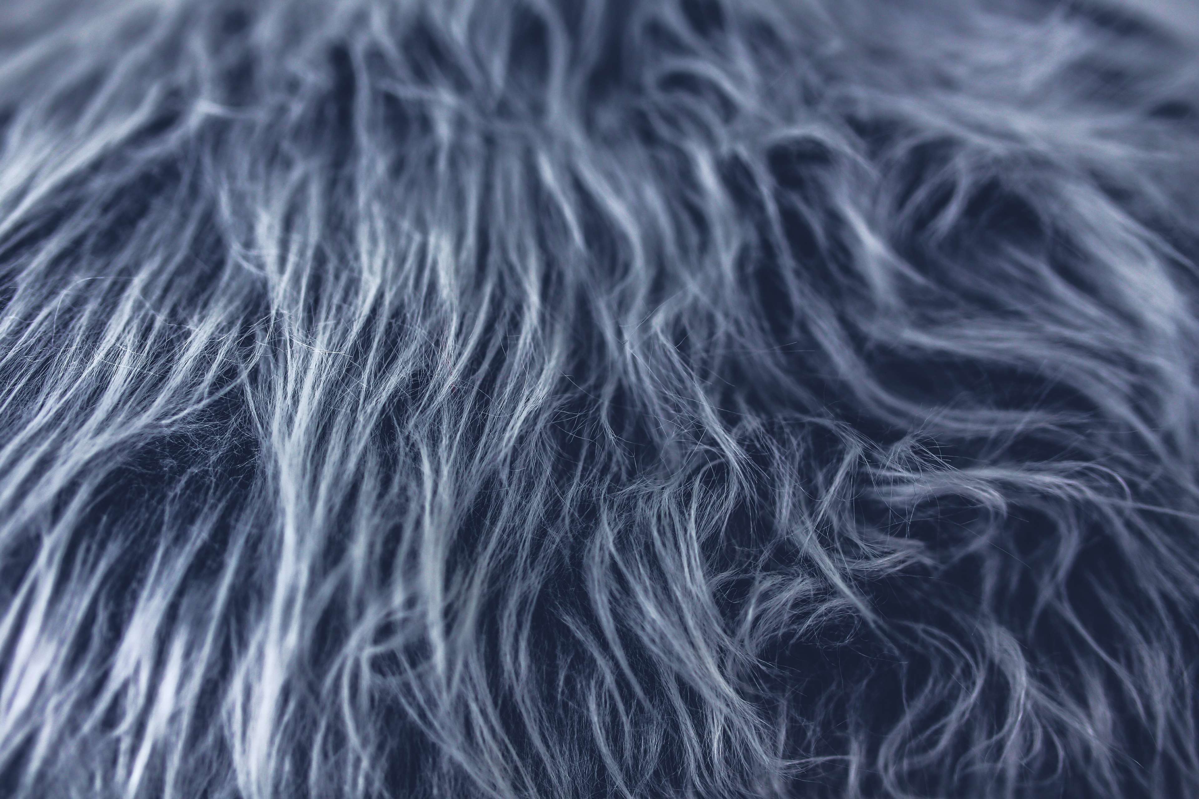 3840x2560 fur HD wallpaper, Background
