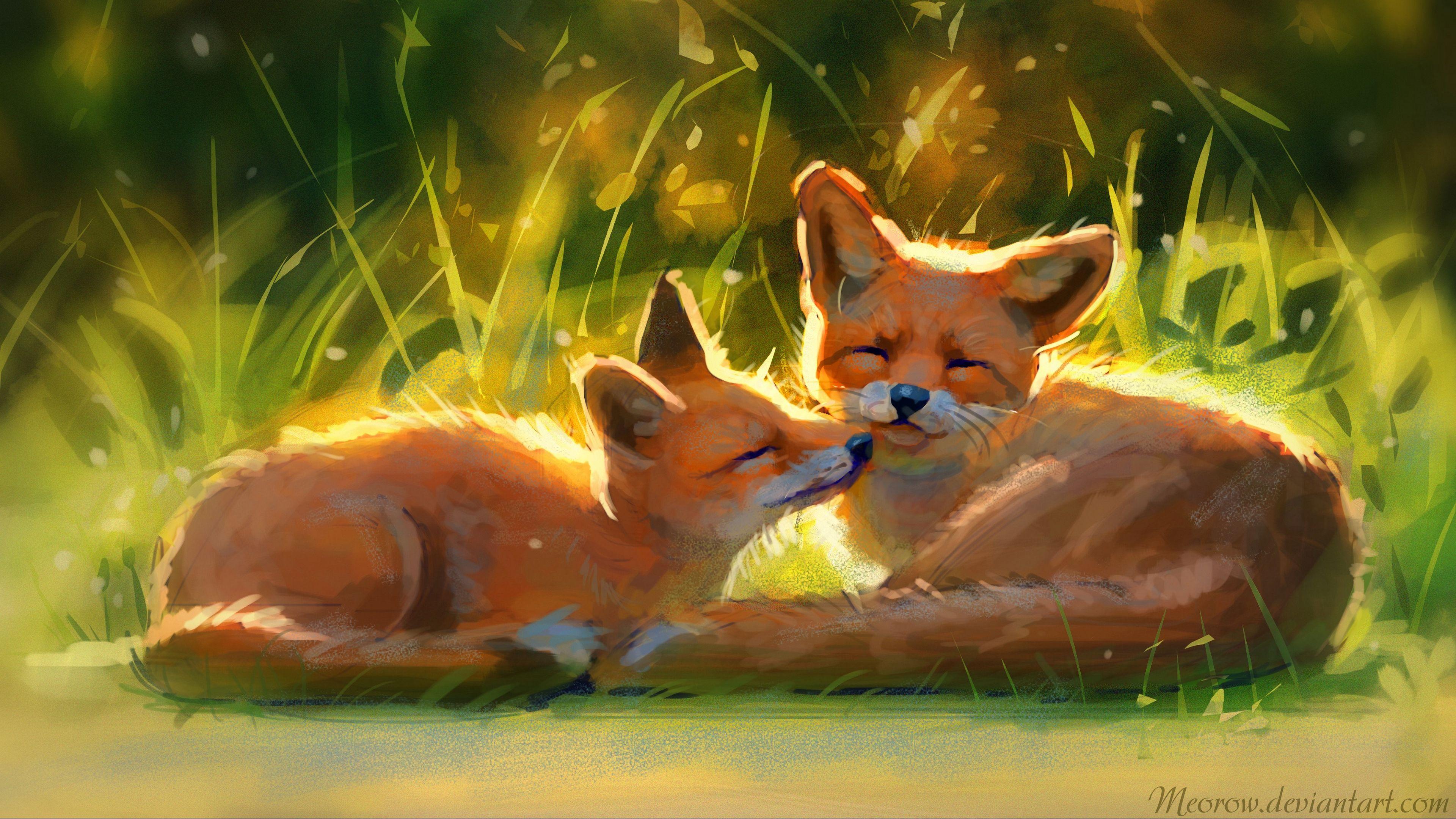3840x2160 Cute Fox Wallpaper, HD Cute Fox Background