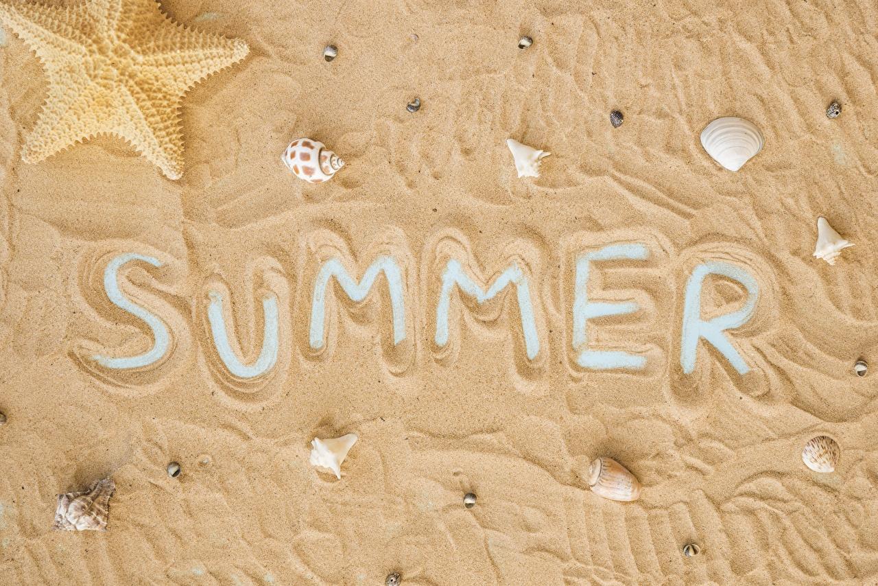 1280x854 Desktop Wallpaper English Summer Sand Shells lettering