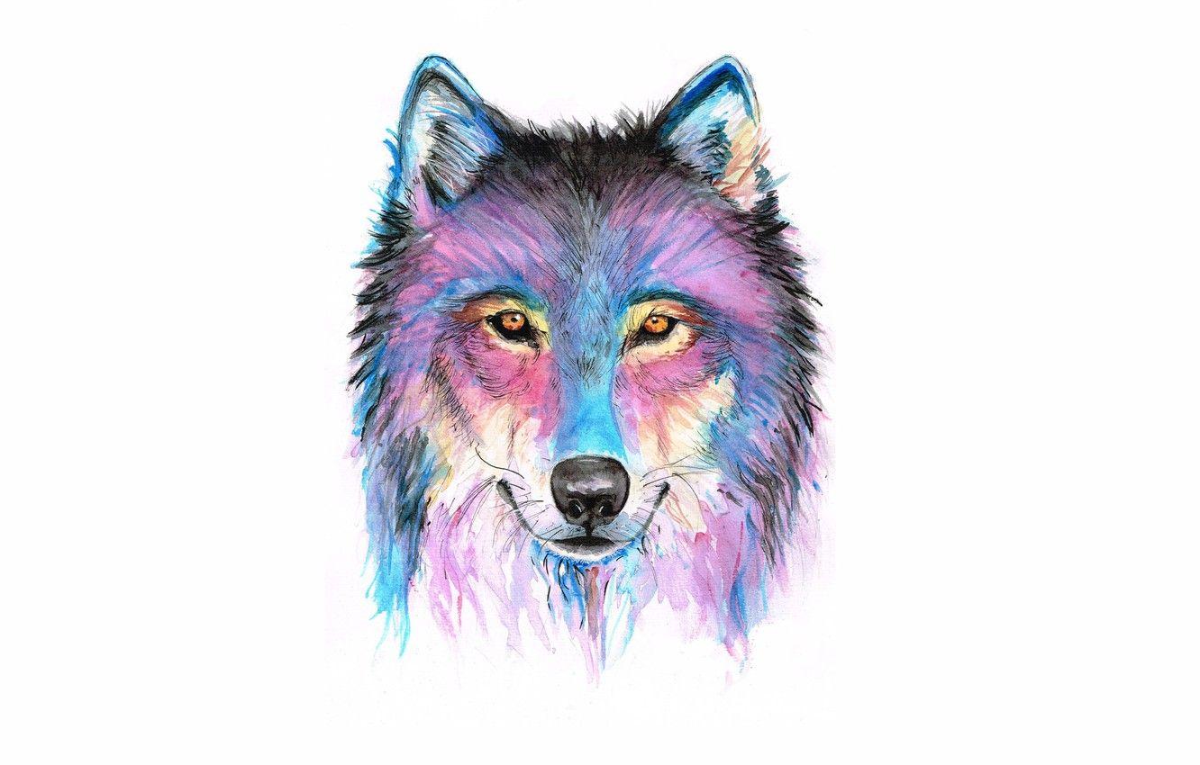 Wolf Artwork Wallpapers - Top Free Wolf Artwork Backgrounds