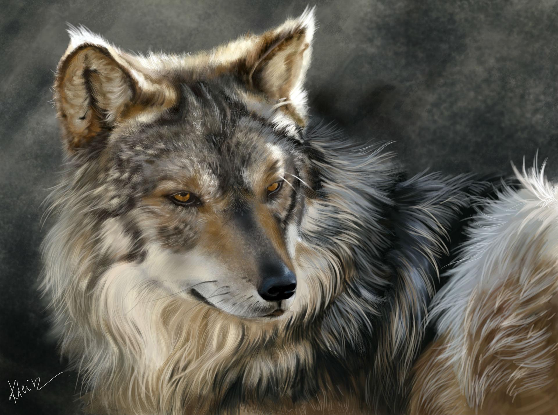 Wolves Painting Wallpapers - Top Free Wolves Painting Backgrounds