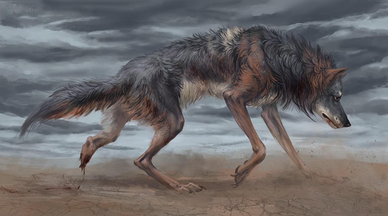 1280x713 Image wolf animal Painting Art