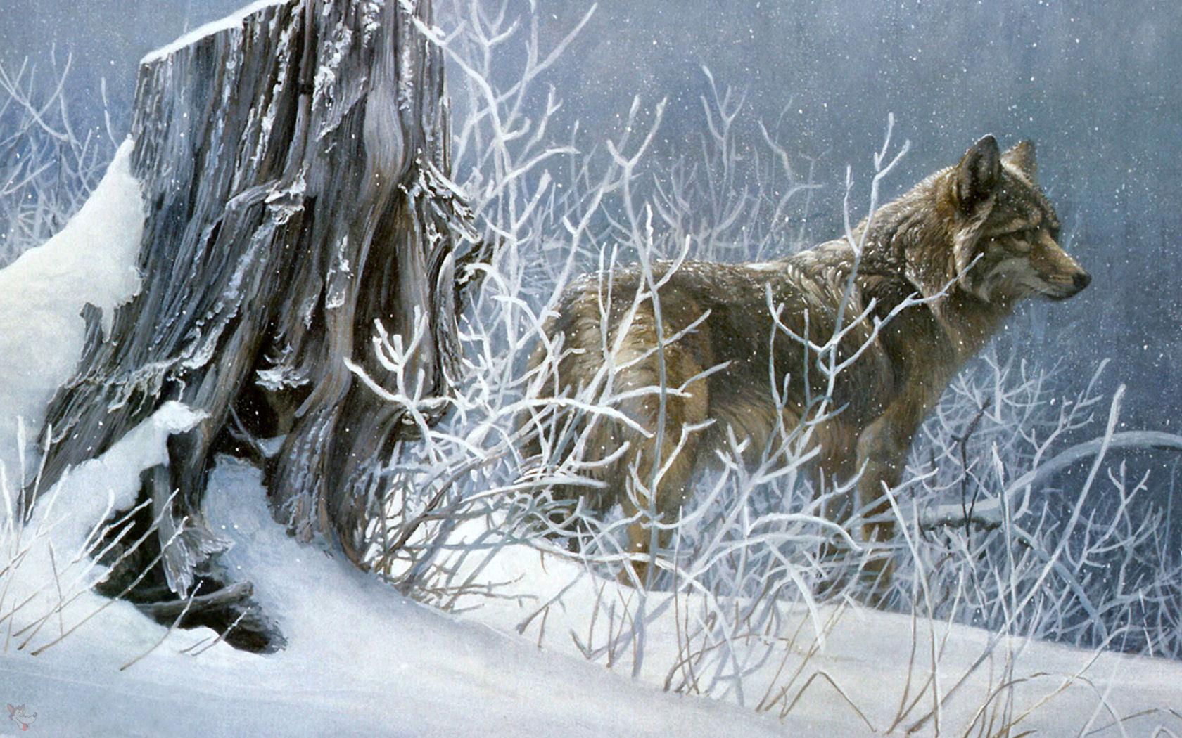 1680x1050 R Bateman Wolf Painting