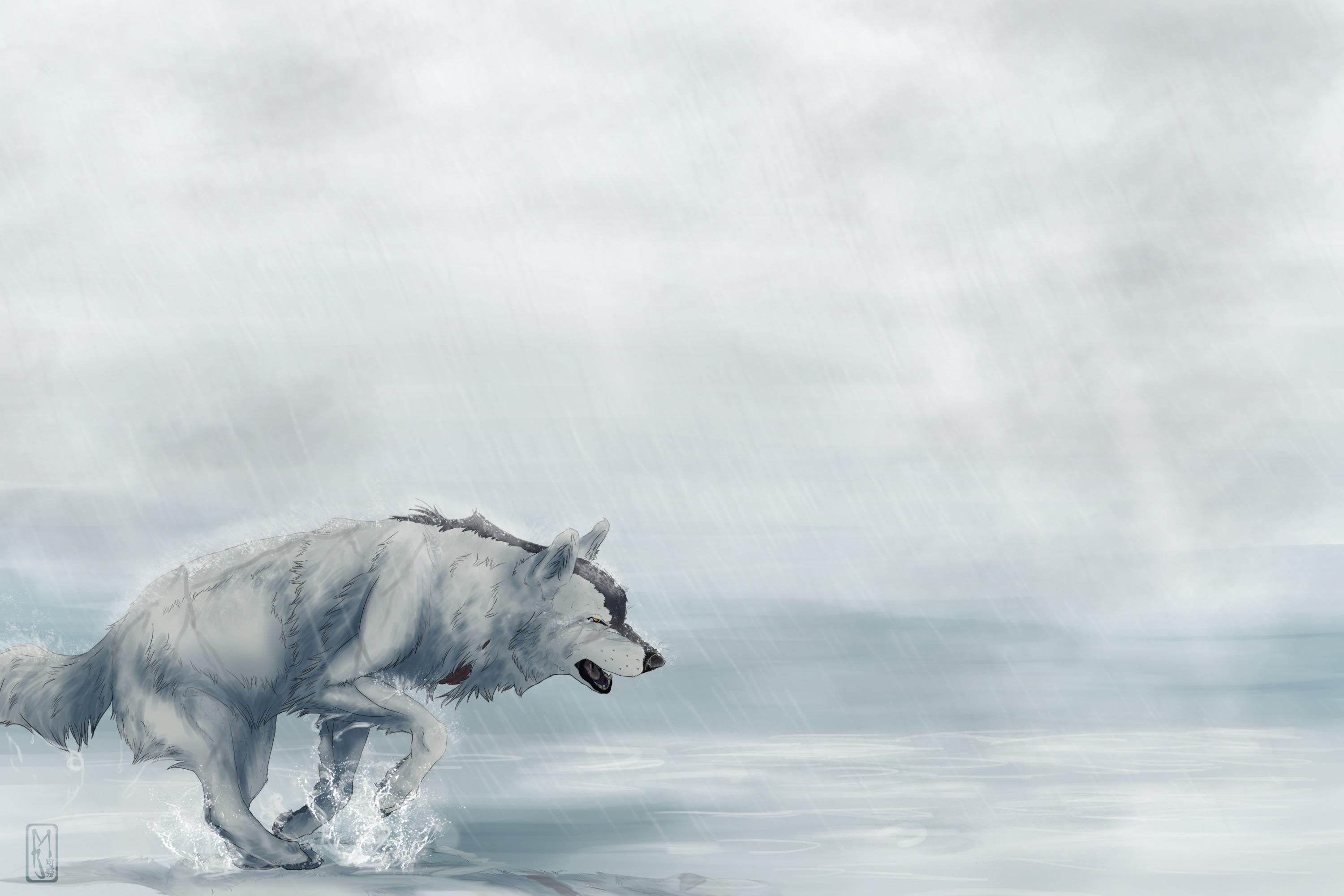 3000x2000 wolves, Painting, Art, Anime, Wolf, Original Wallpaper HD / Desktop and Mobile Background
