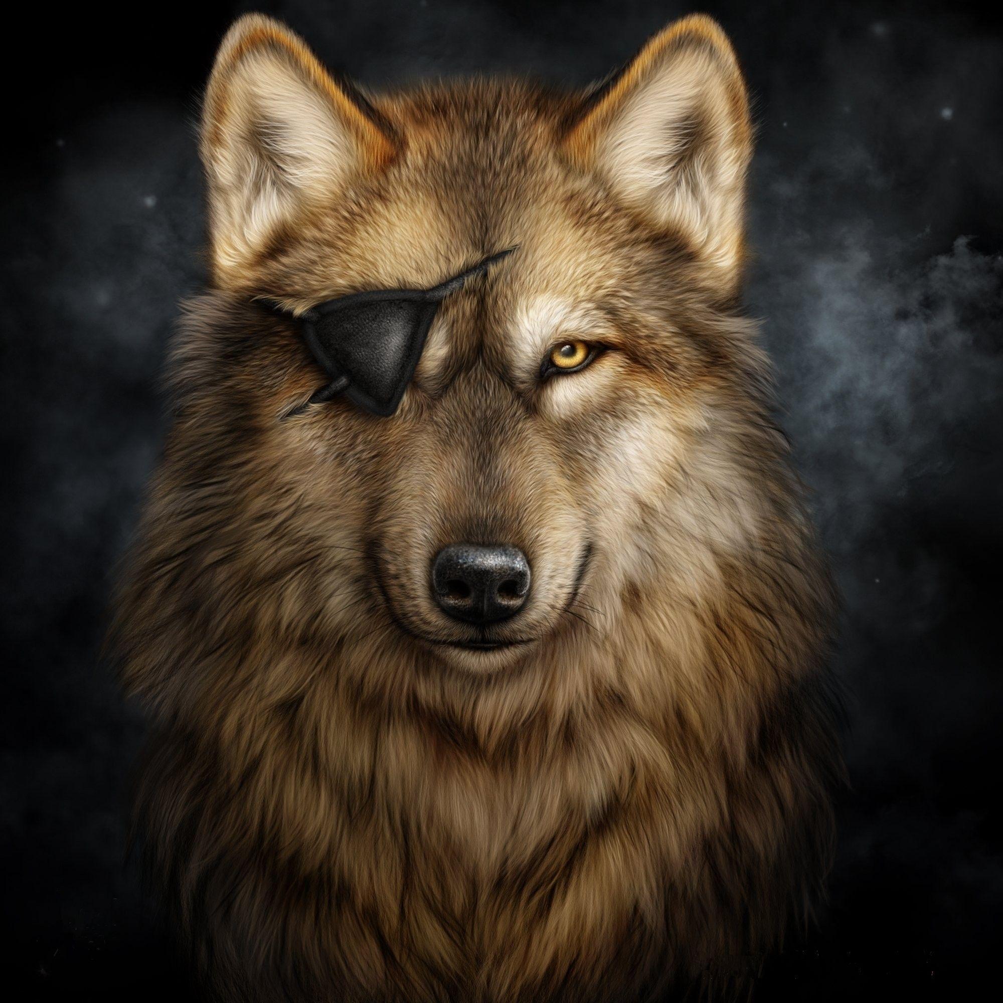 2000x2000 Wolf Art HD Wallpaper
