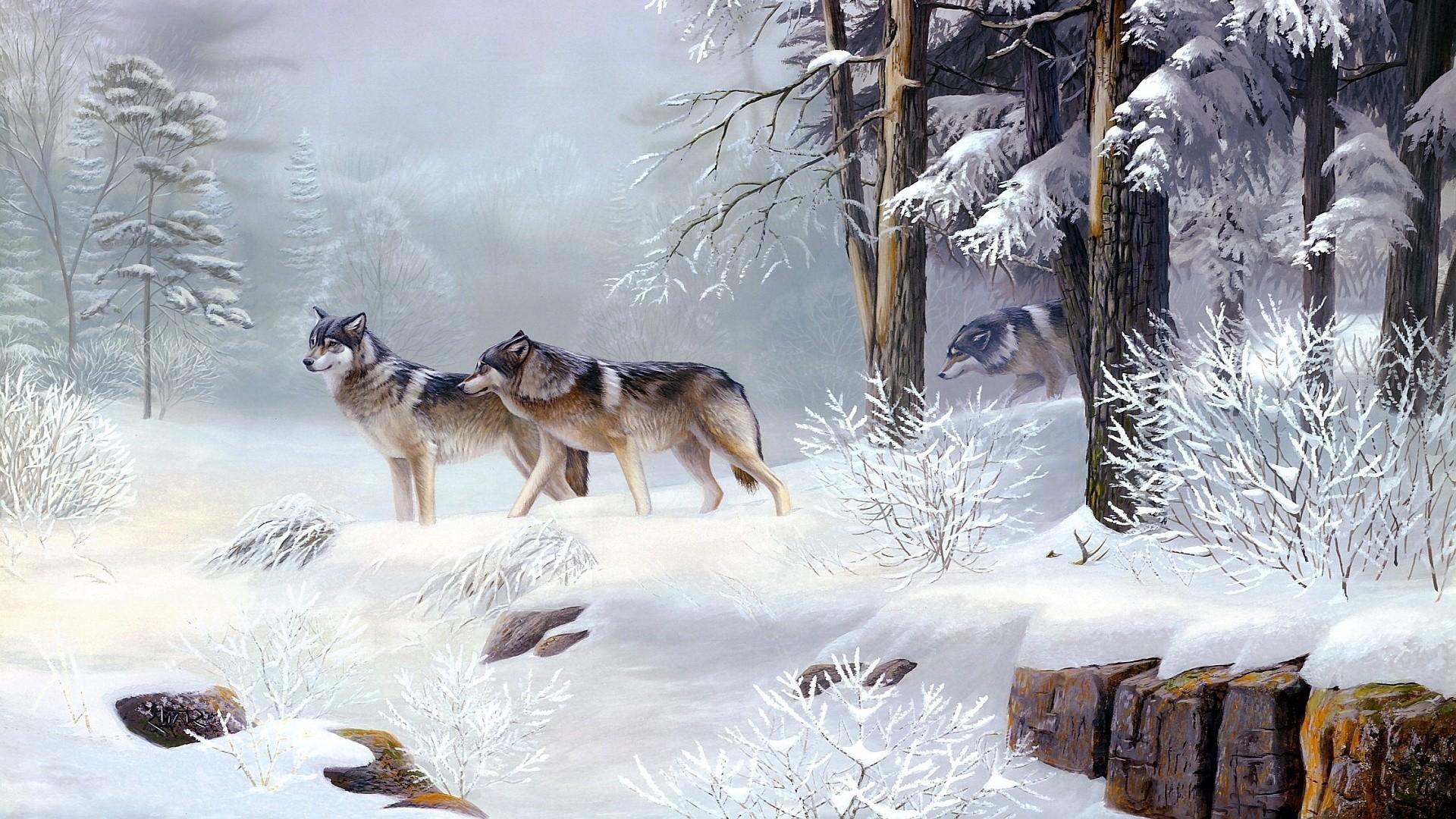1920x1080 Wolves Wallpaper background picture