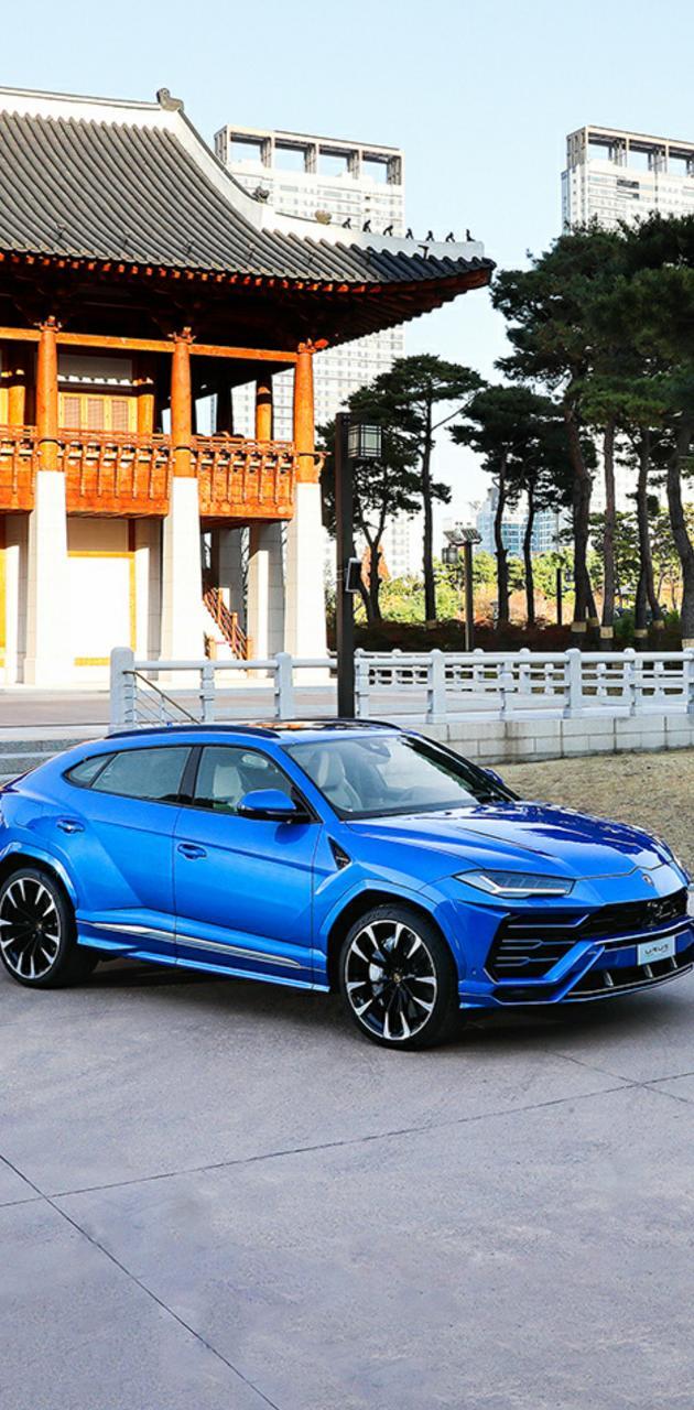 630x1280 Blue URUS wallpaper