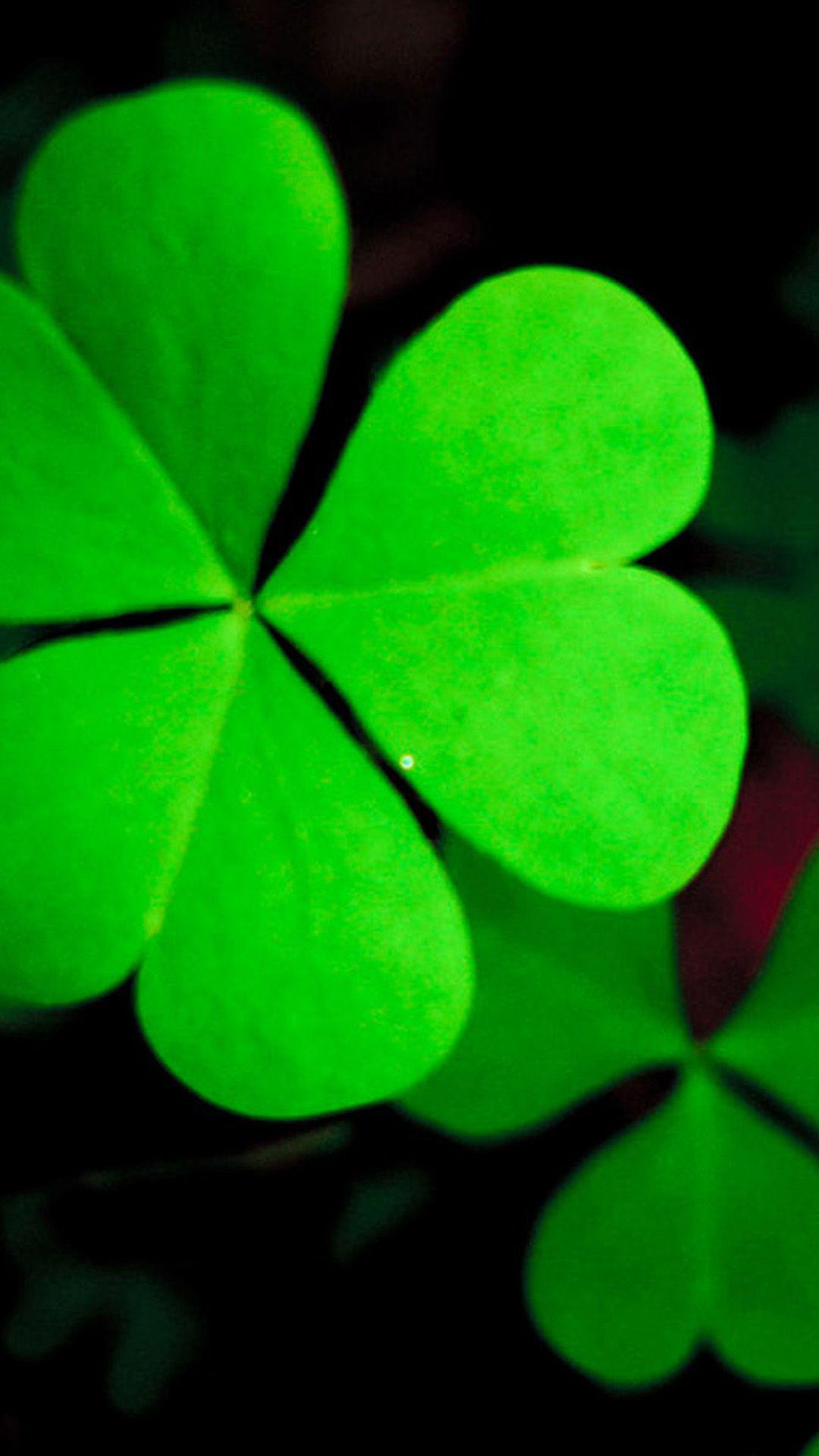 1080x1920 Pure Green Lucky Grass Clover Leaf Close Up iPhone 6 Wallpaper Download. iPhone Wall. iPhone 5s wallpaper, Shamrock wallpaper iphone, Wallpaper iphone christmas