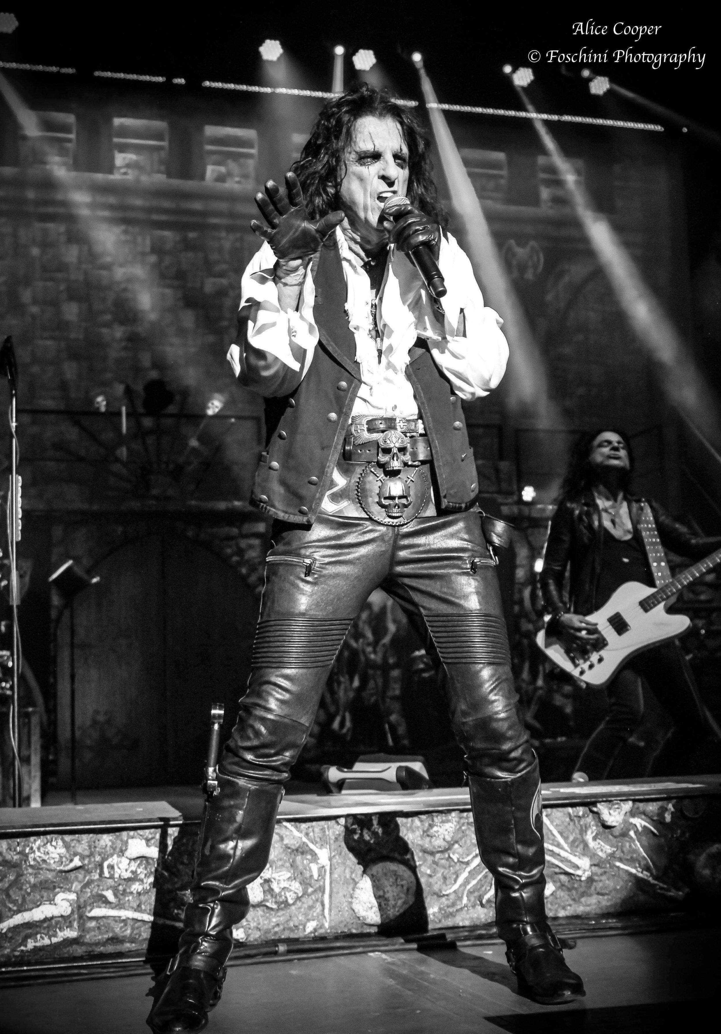2500x3584 Alice Cooper