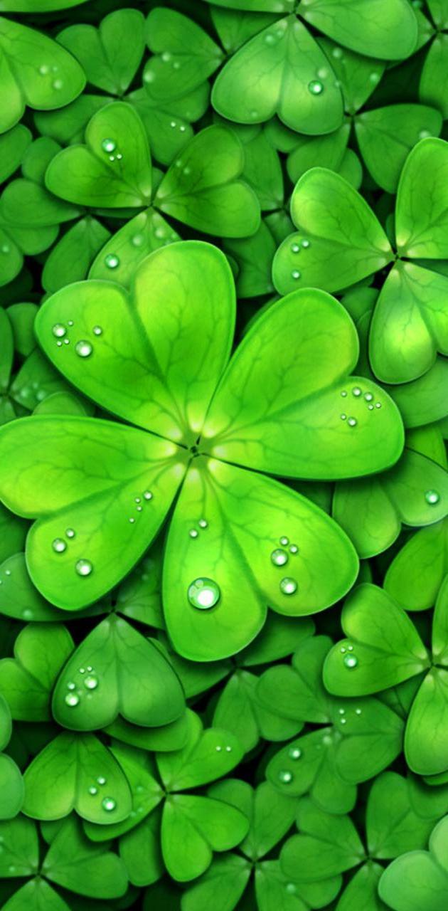 630x1280 Four Leaf Clover wallpaper